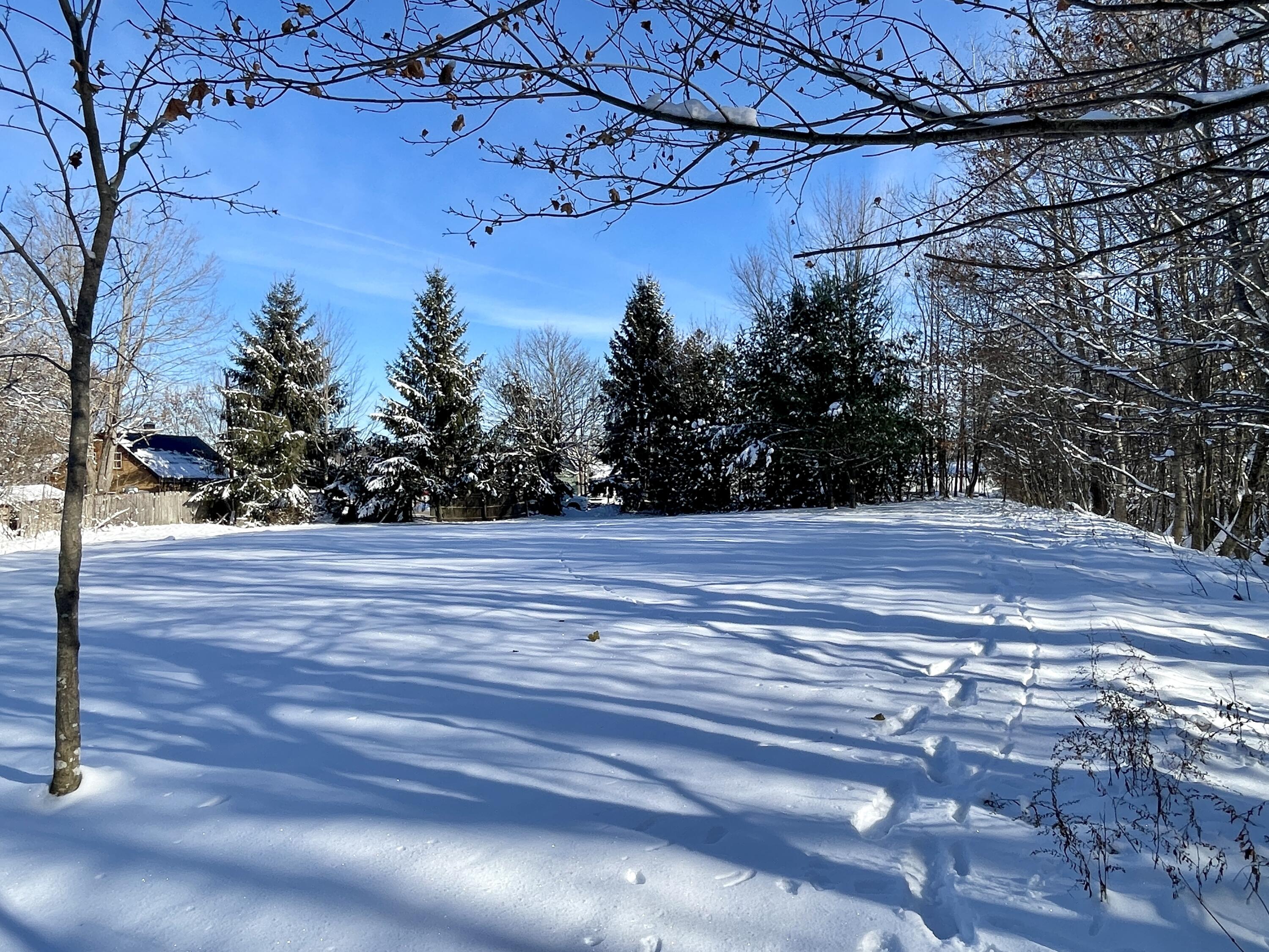 15 Whitney Street Calais, ME 04619 - Photo 29 of 37 IMG_7948