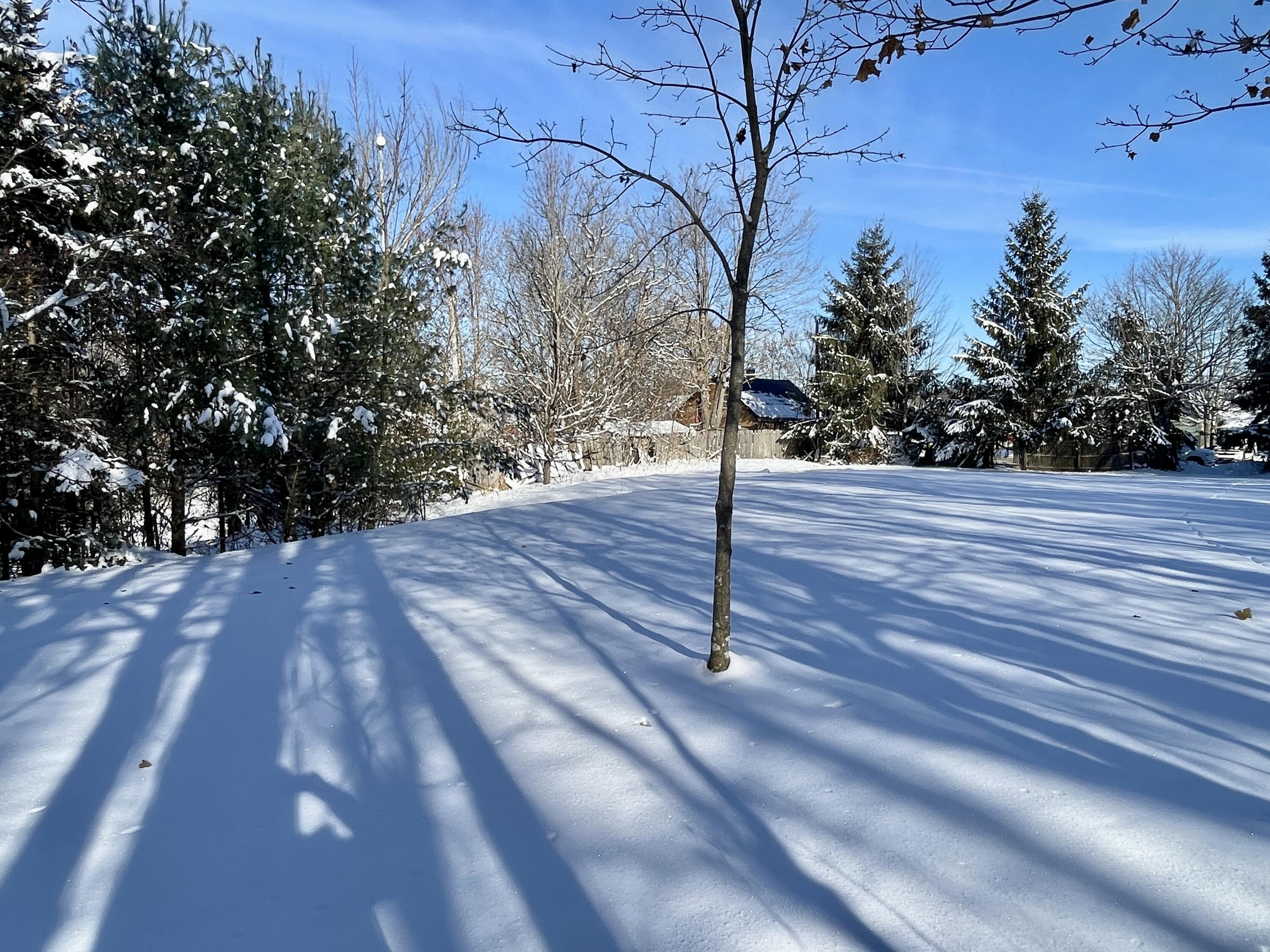 15 Whitney Street Calais, ME 04619 - Photo 30 of 37 IMG_7949 2