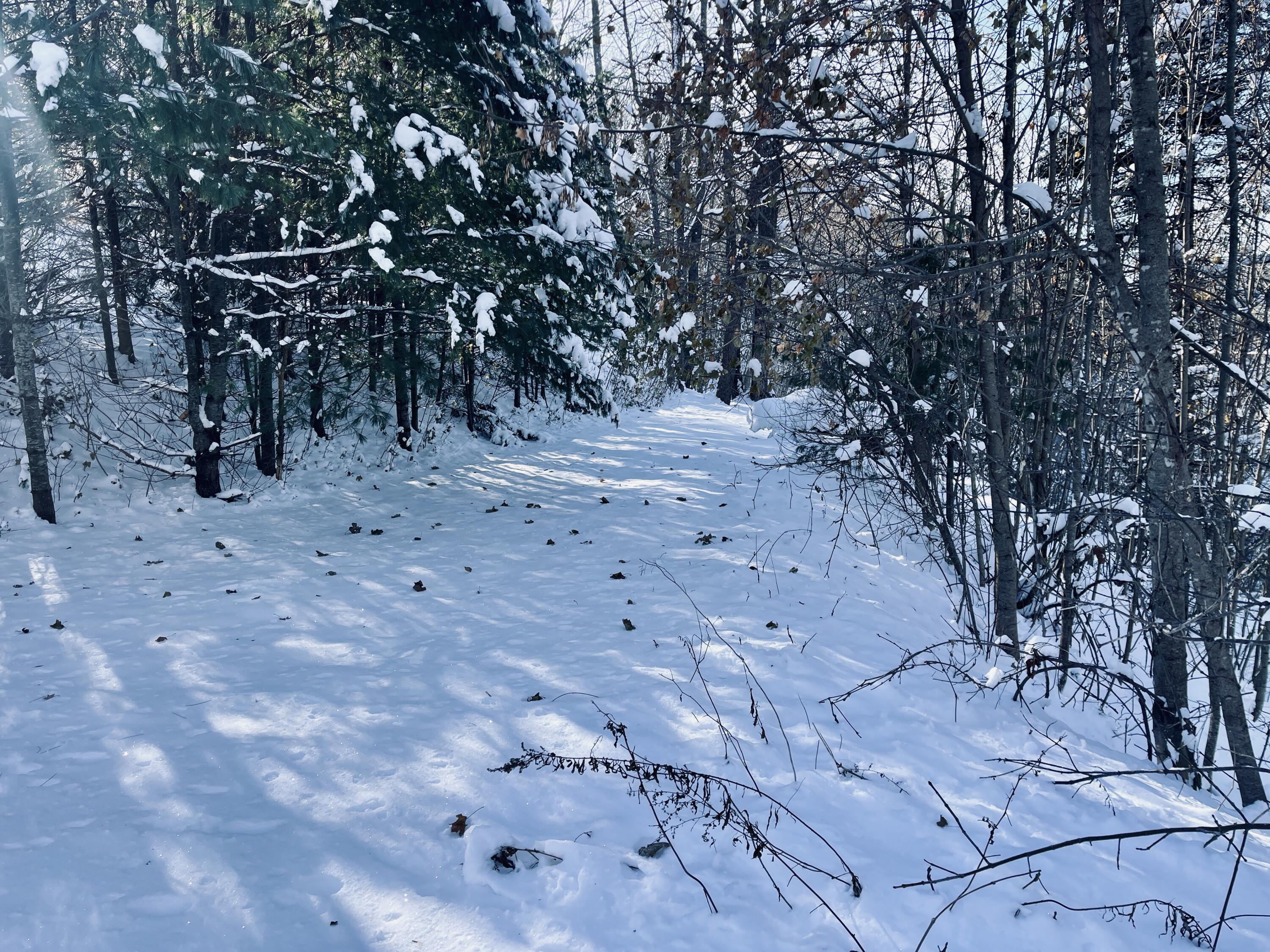 15 Whitney Street Calais, ME 04619 - Photo 31 of 37 IMG_7962 2