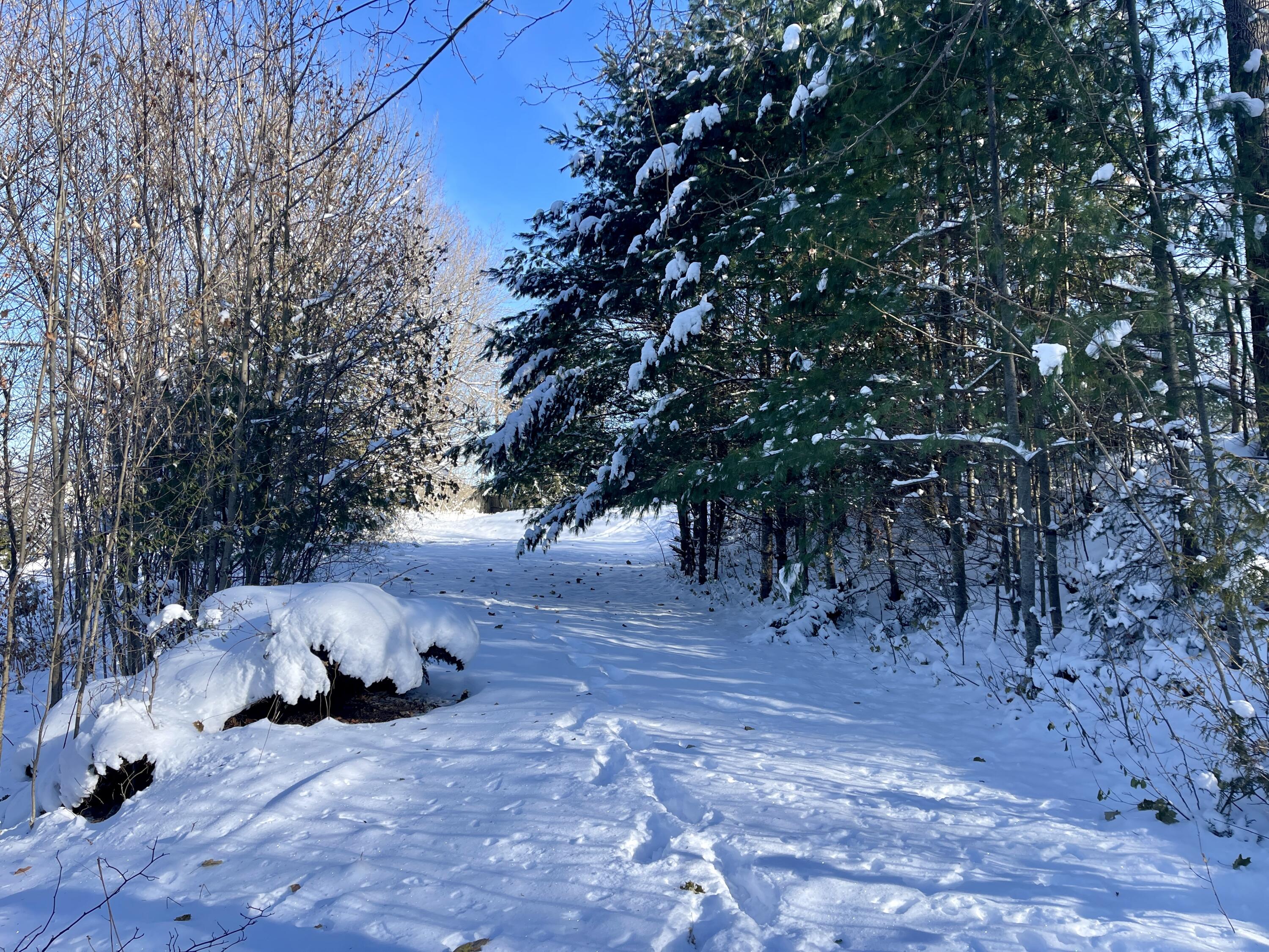 15 Whitney Street Calais, ME 04619 - Photo 32 of 37 IMG_7965 2