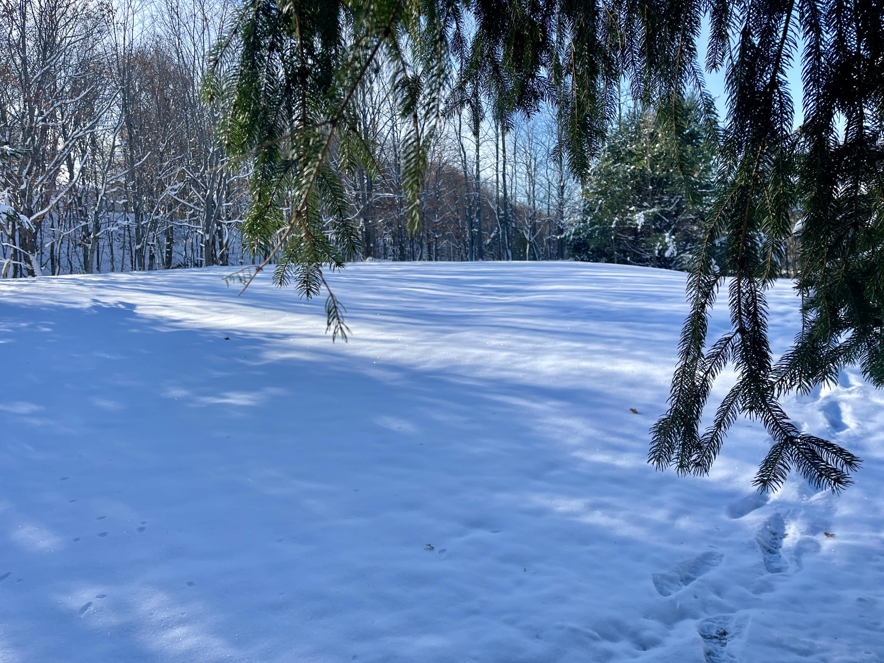 15 Whitney Street Calais, ME 04619 - Photo 33 of 37 IMG_7966 2