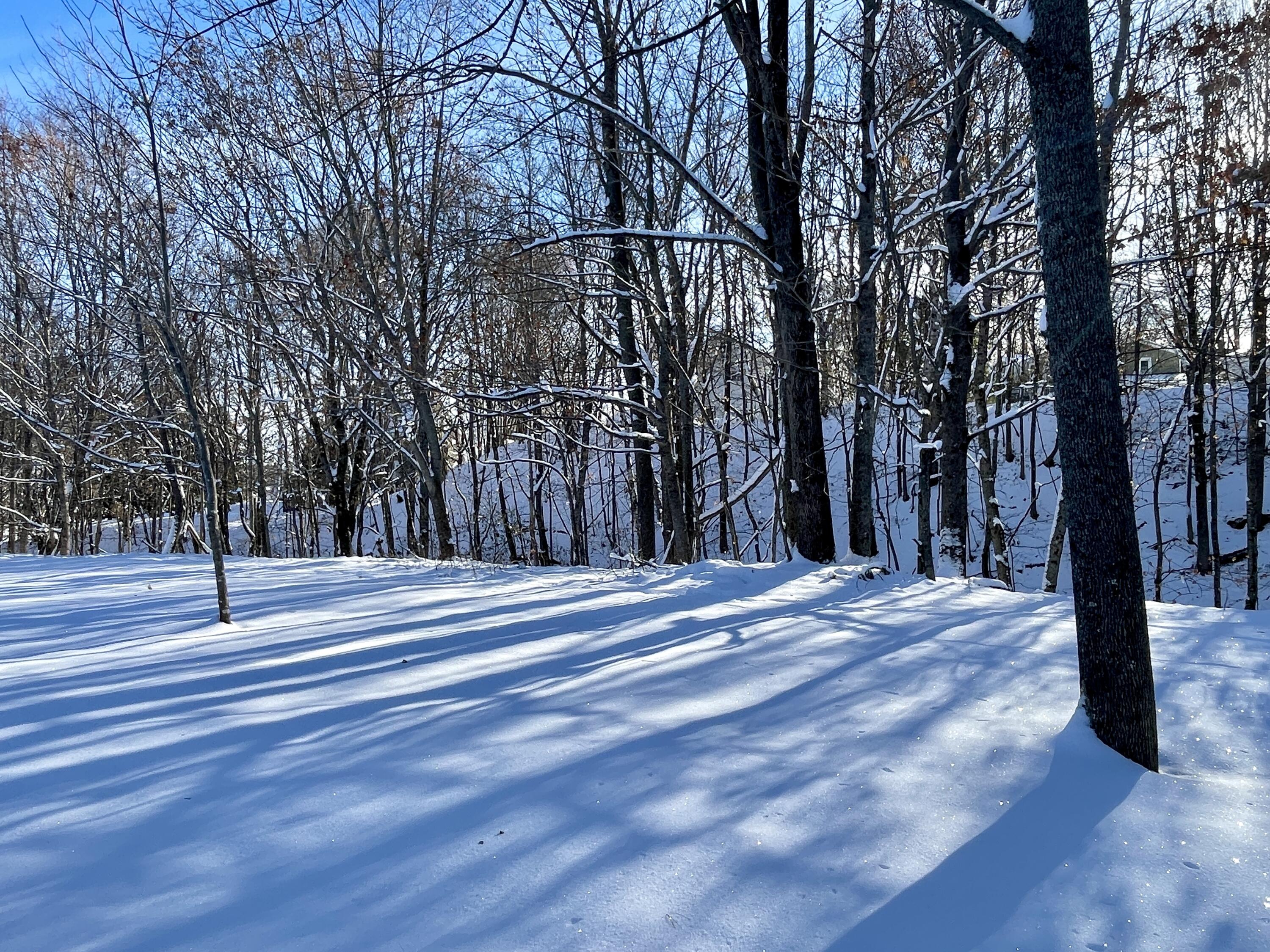 15 Whitney Street Calais, ME 04619 - Photo 34 of 37 IMG_7954