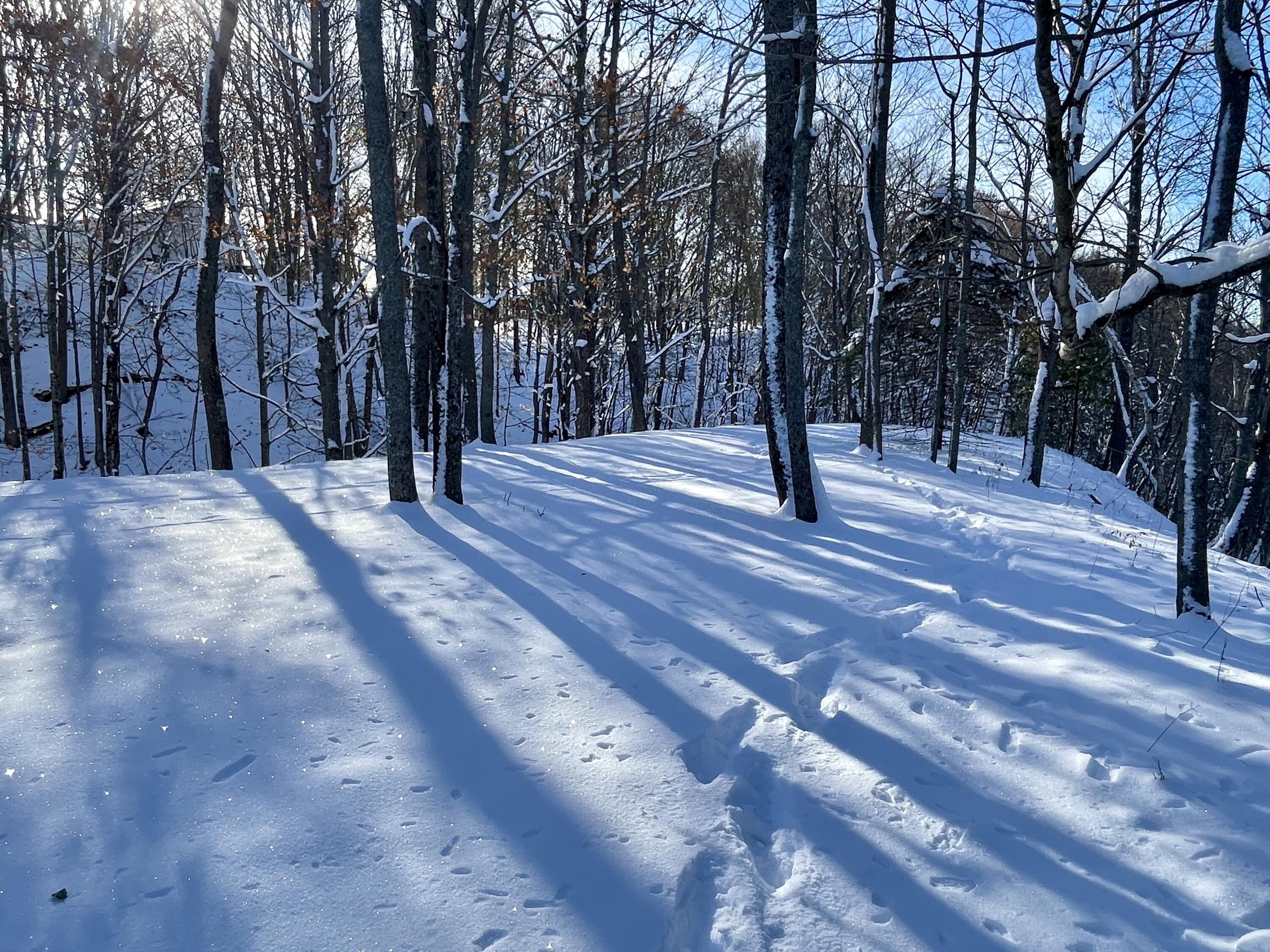 15 Whitney Street Calais, ME 04619 - Photo 35 of 37 IMG_7955