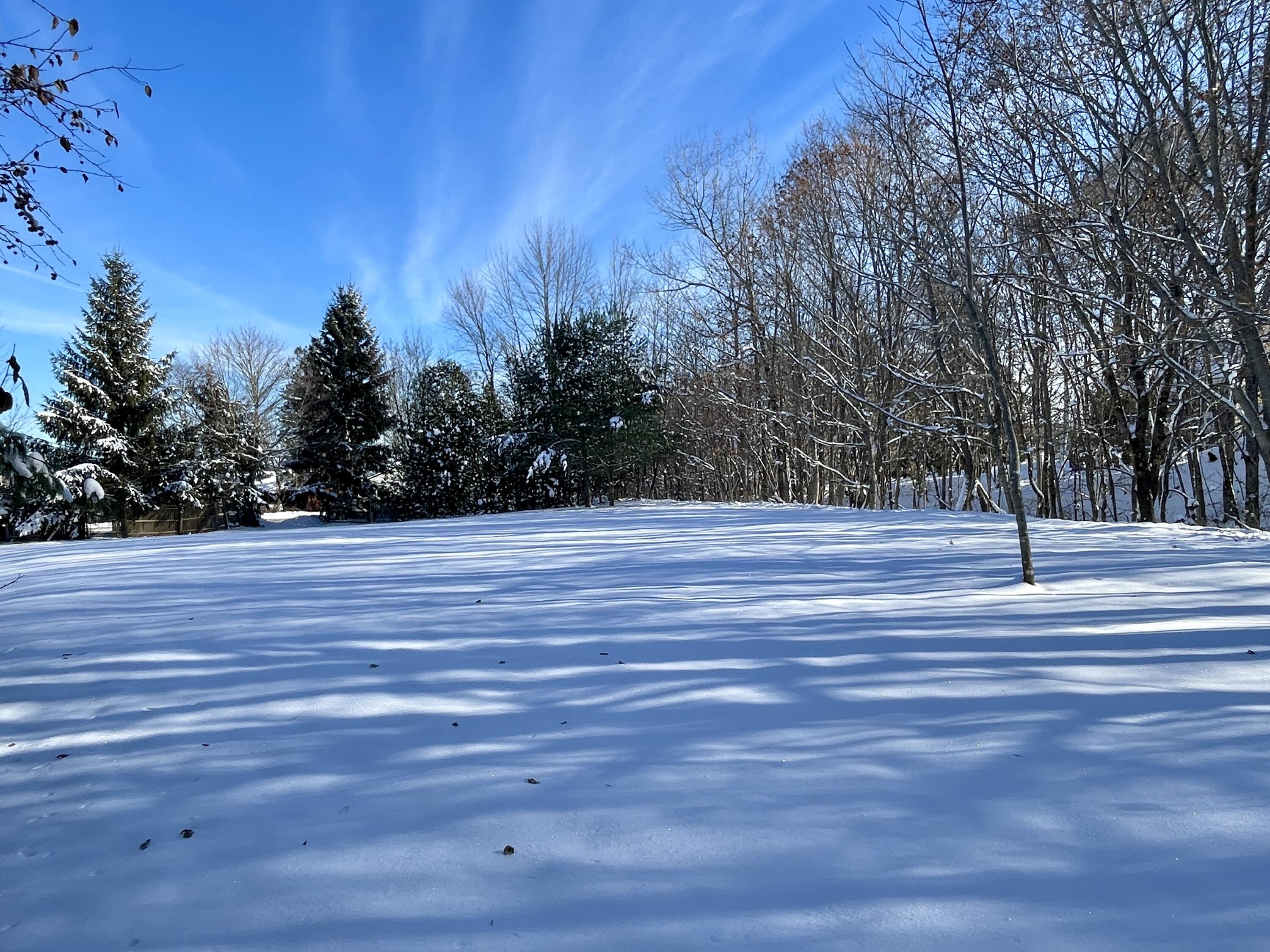 15 Whitney Street Calais, ME 04619 - Photo 36 of 37 IMG_7956