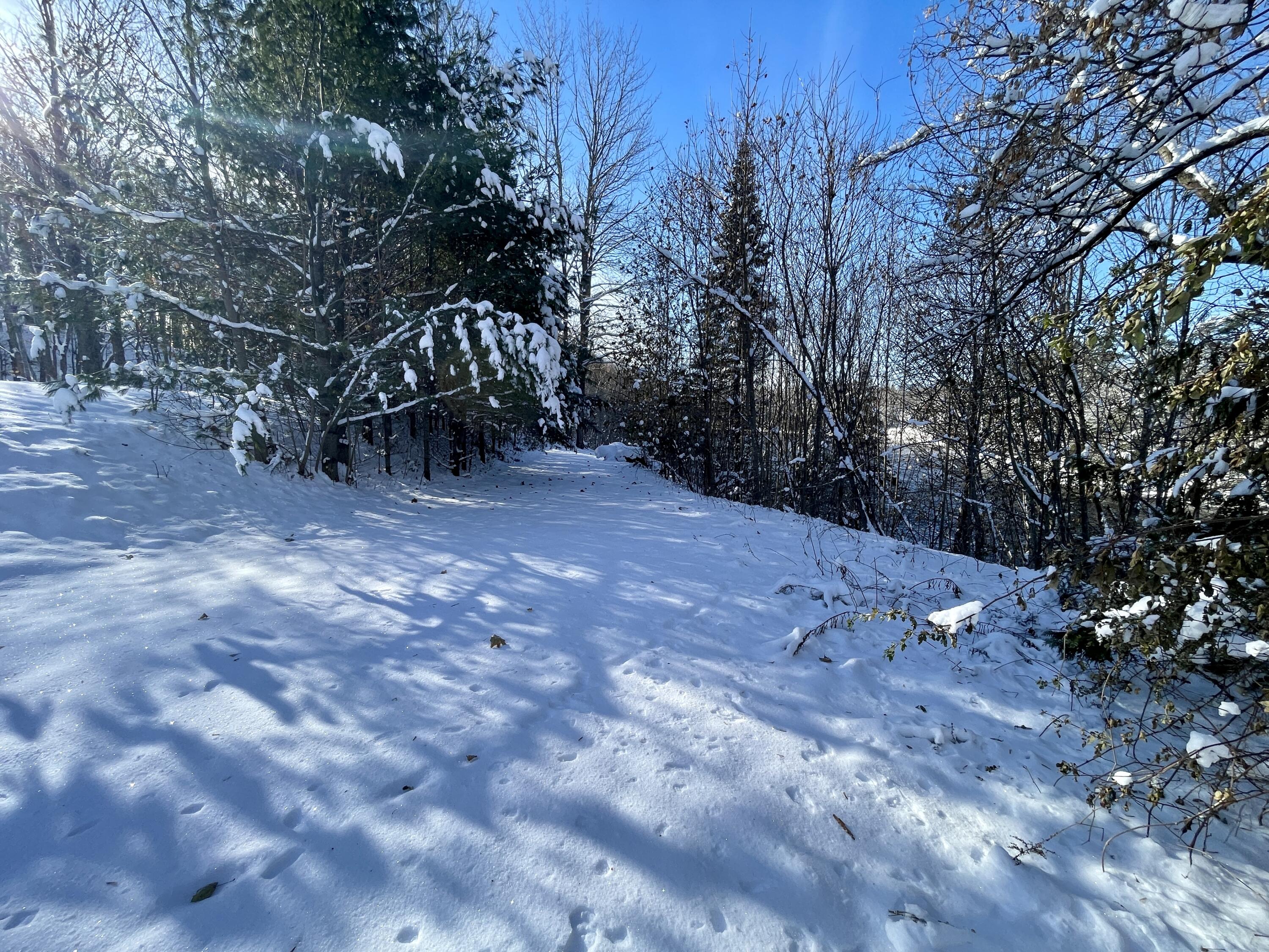 15 Whitney Street Calais, ME 04619 - Photo 37 of 37 IMG_7957