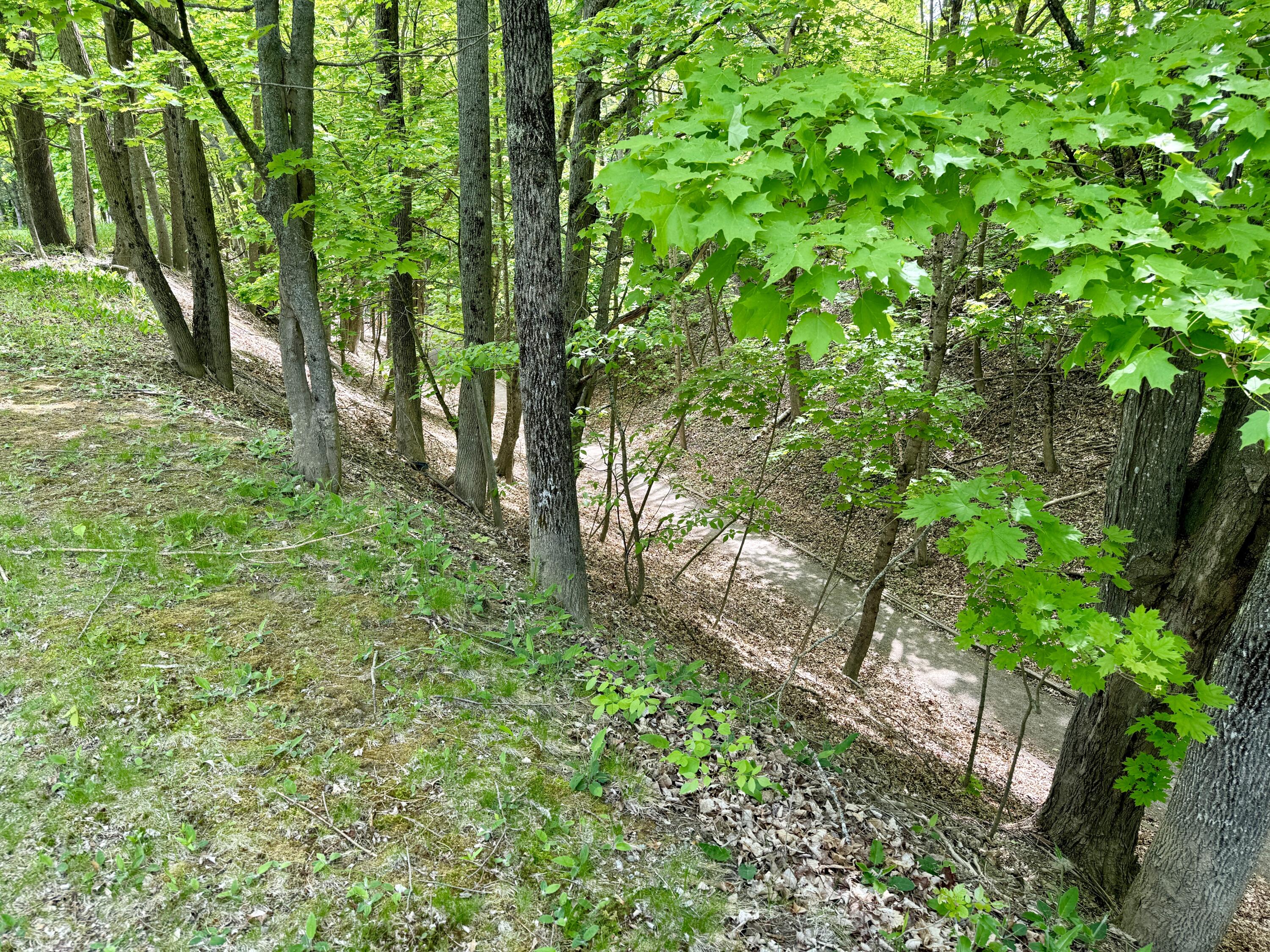 15 Whitney Street Calais, ME 04619 - Photo 7 of 37 IMG_1271 2