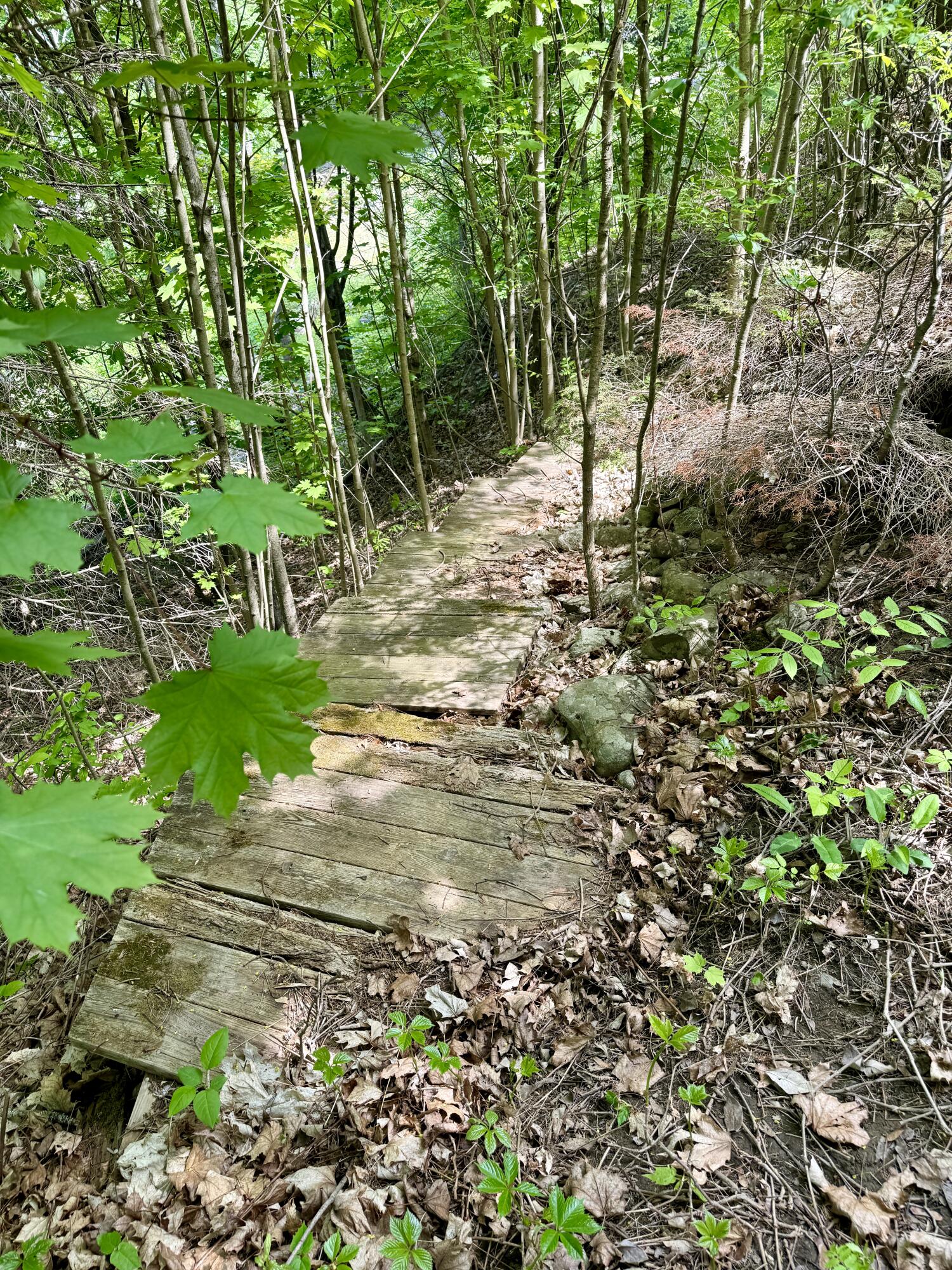 15 Whitney Street Calais, ME 04619 - Photo 8 of 37 IMG_1275 2