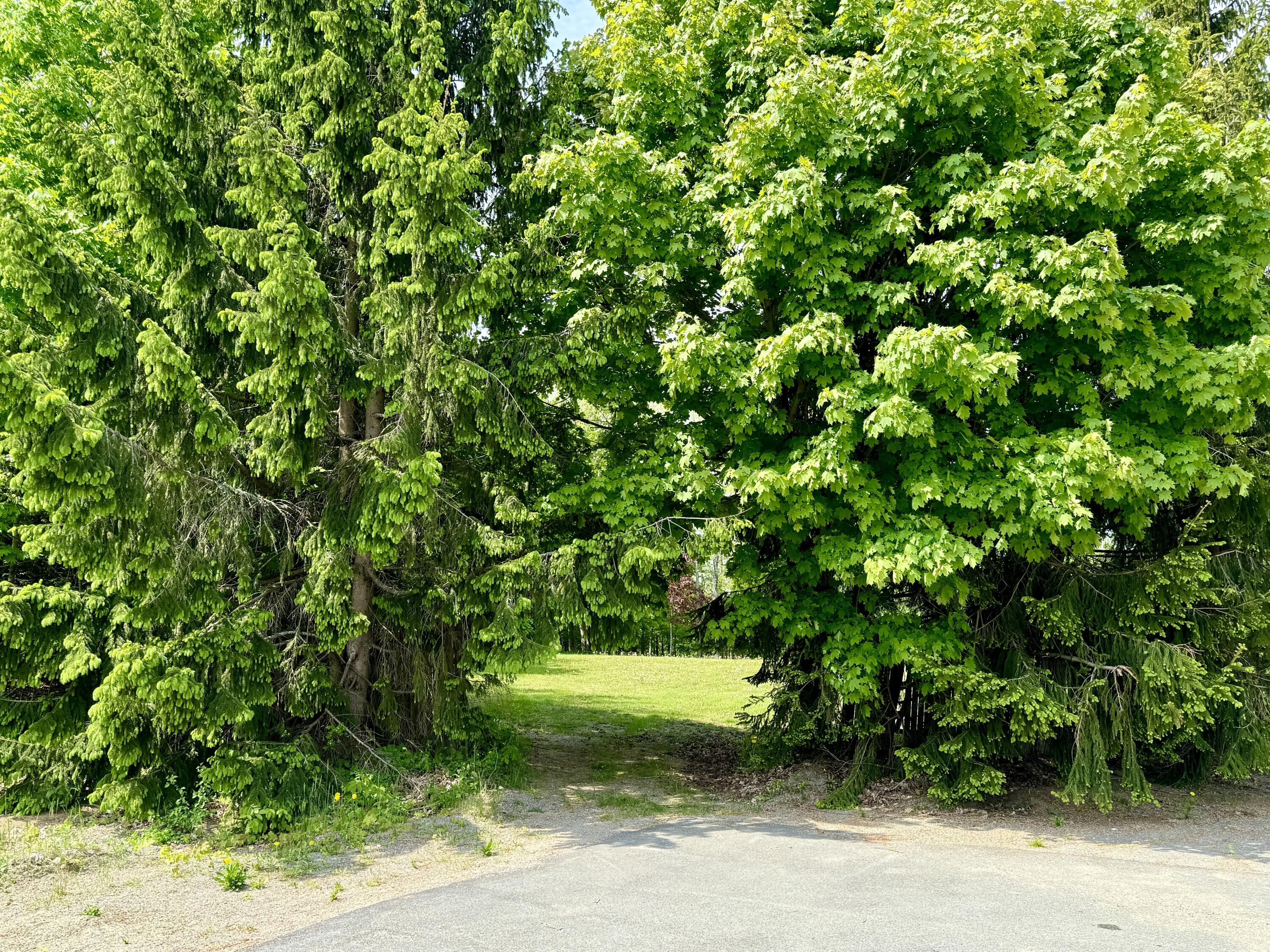 15 Whitney Street Calais, ME 04619 - Photo 9 of 37 IMG_1277 2