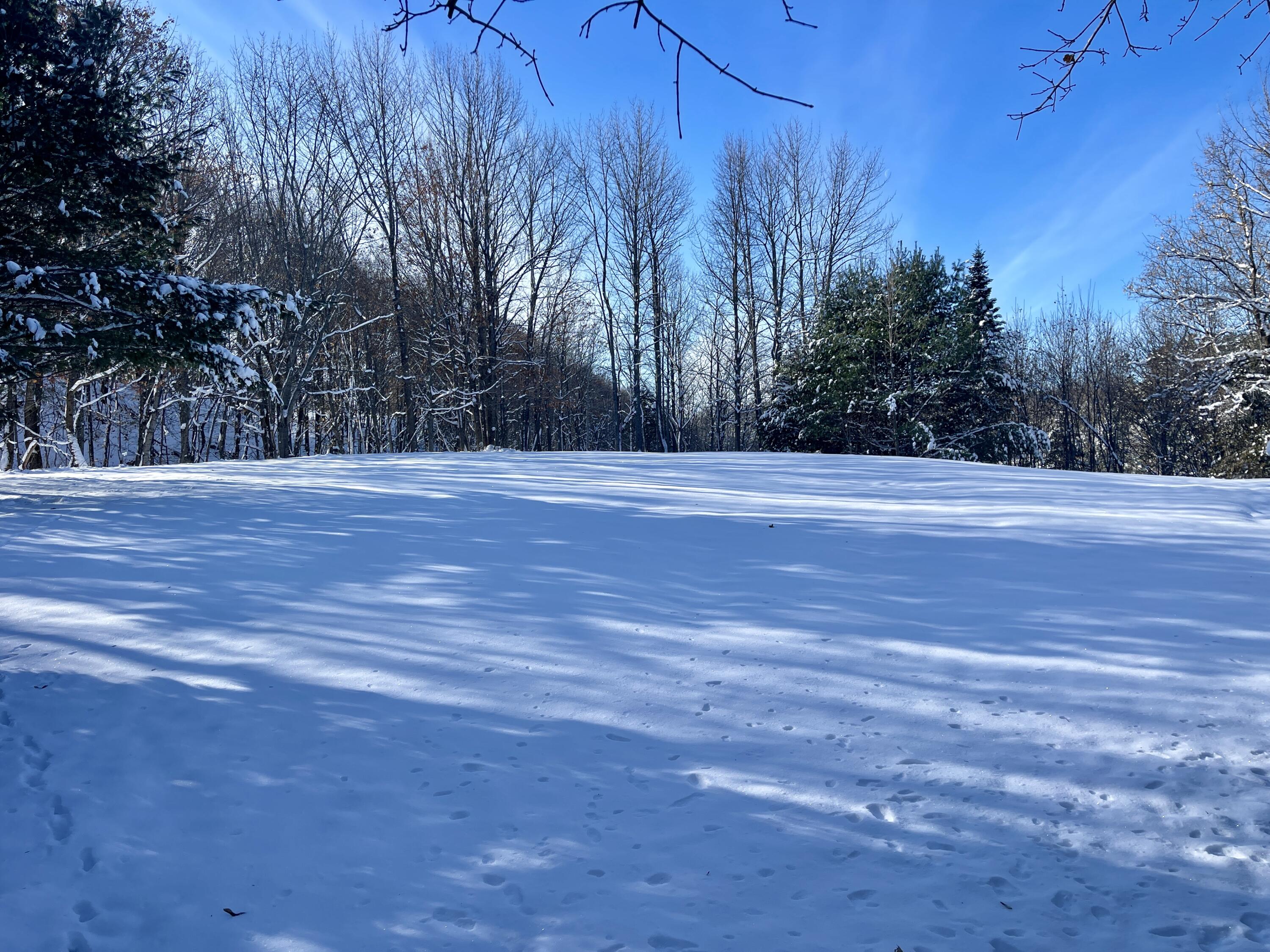 15 Whitney Street Calais, ME 04619 - Photo 10 of 37 IMG_7932