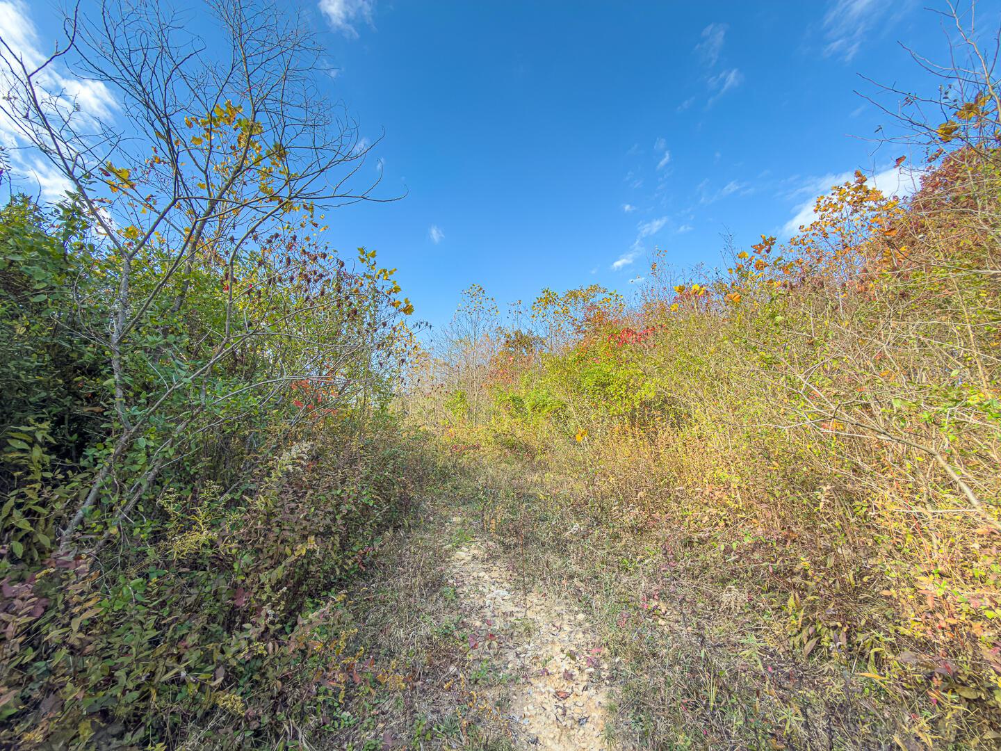 0 Thompsonville Road Wellston, OH 45692 - Photo 17 of 20 Thompsonville Rd 51-17