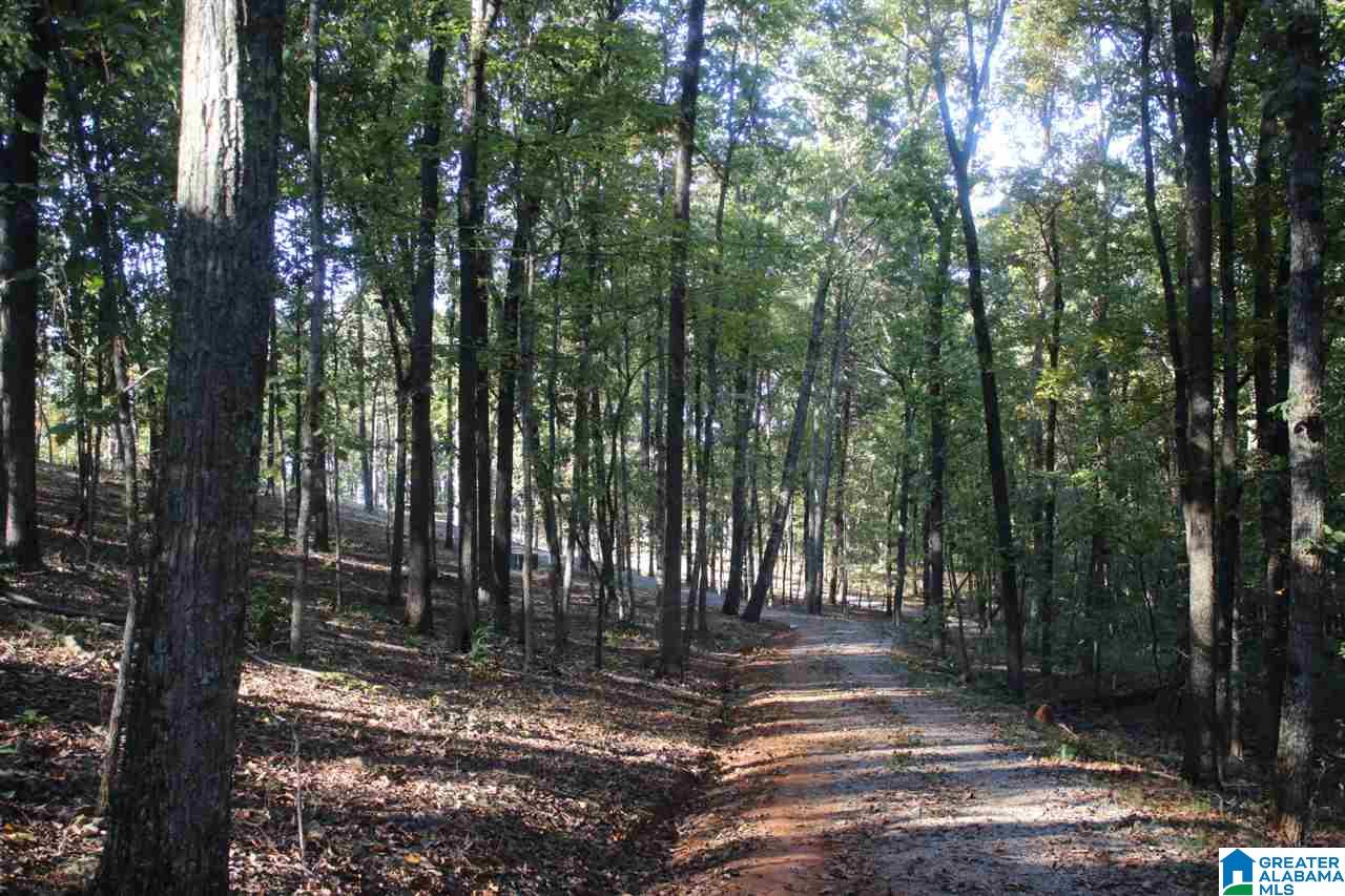 644 Washboard Road, Unit LOT 1 Columbiana, AL 35051 - Photo 6 of 9