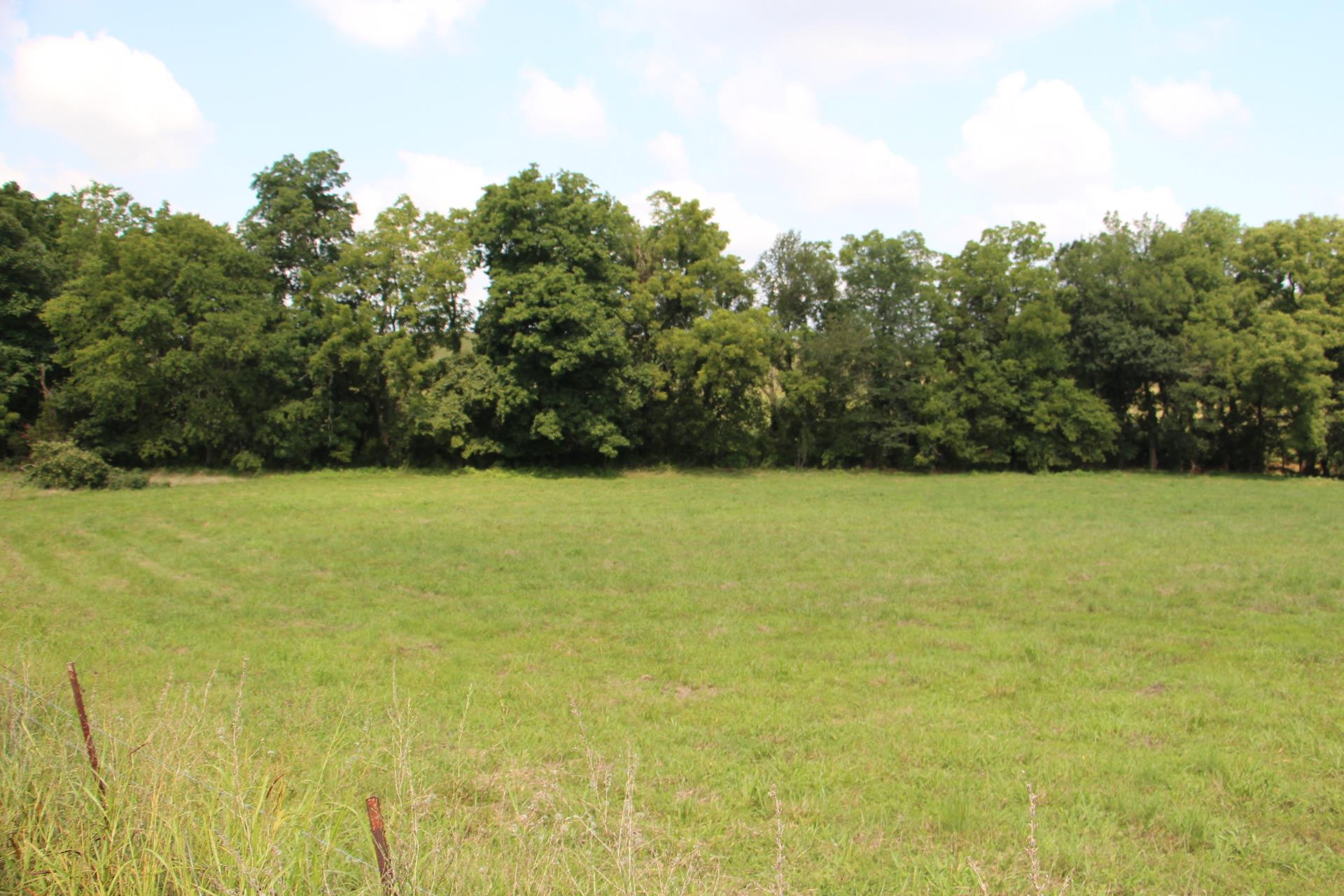 2 Benson Road Springfield, TN 37172 - Photo 5 of 10