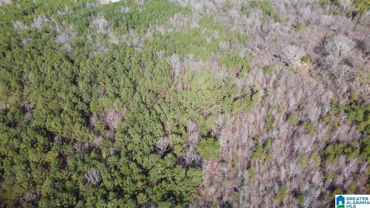 Landmark Road Talladega, AL 35160 - Photo 4 of 8
