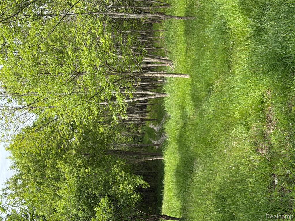 9200 Perry Road Atlas, MI 48411 - Photo 4 of 14