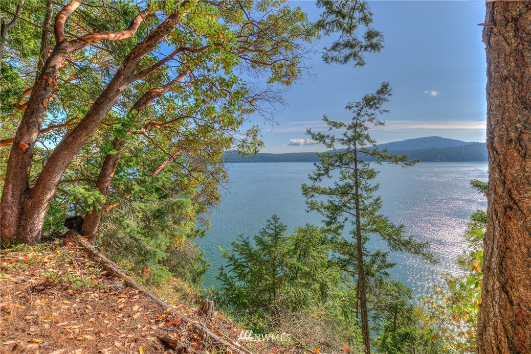 136 Perch Tree Lane Orcas Island, WA 98245 - Photo 4 of 25