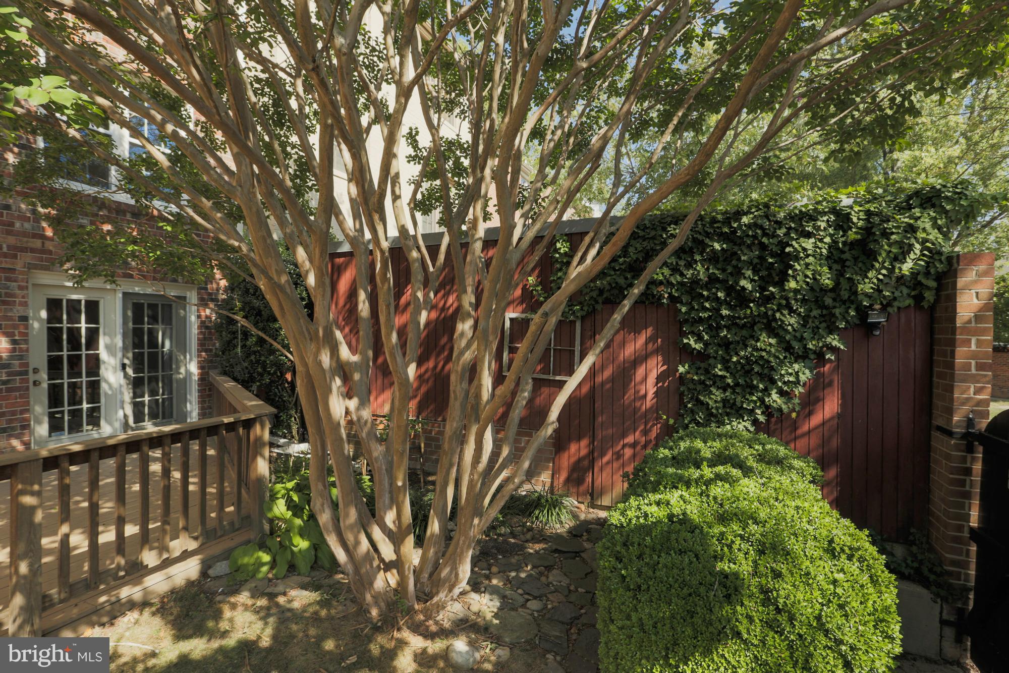 8321 Garfield Court Springfield, VA 22152 - Photo 22 of 30 Landscaped backyard with shed