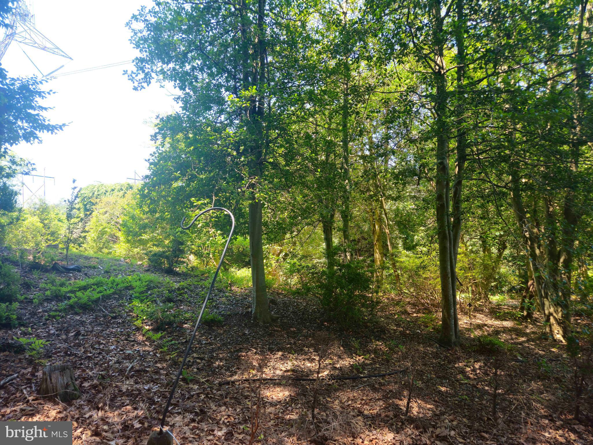 159 Olde Concord Road Stafford, VA 22554 - Photo 61 of 61