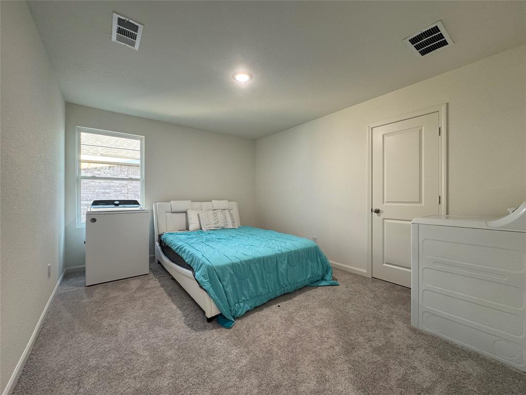 14108 Emeric Street Pilot Point, TX 76258 - Photo 11 of 13