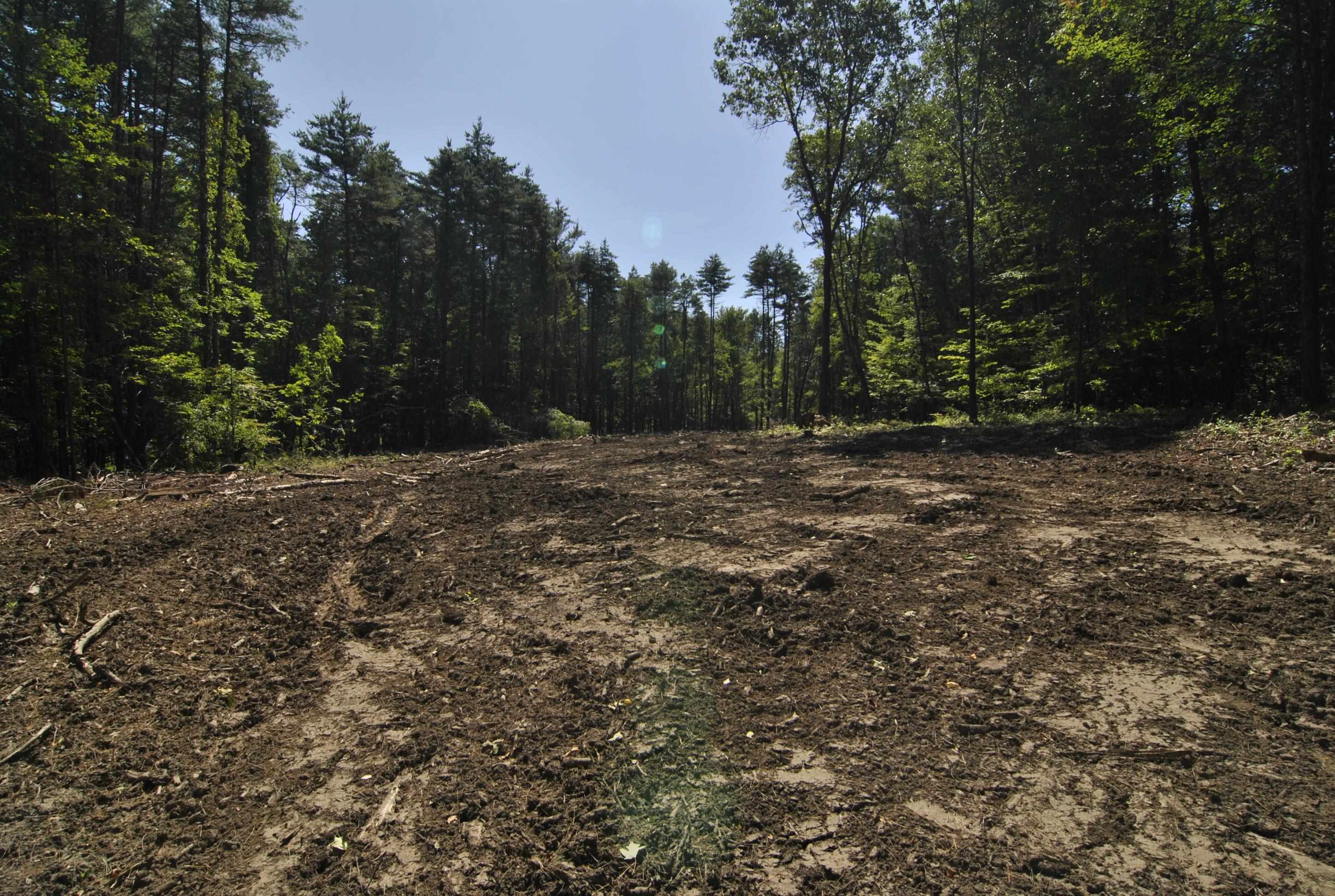 Lot 40 Cross Road Hooksett, NH 03106 - Photo 14 of 17 Gallery Image 14