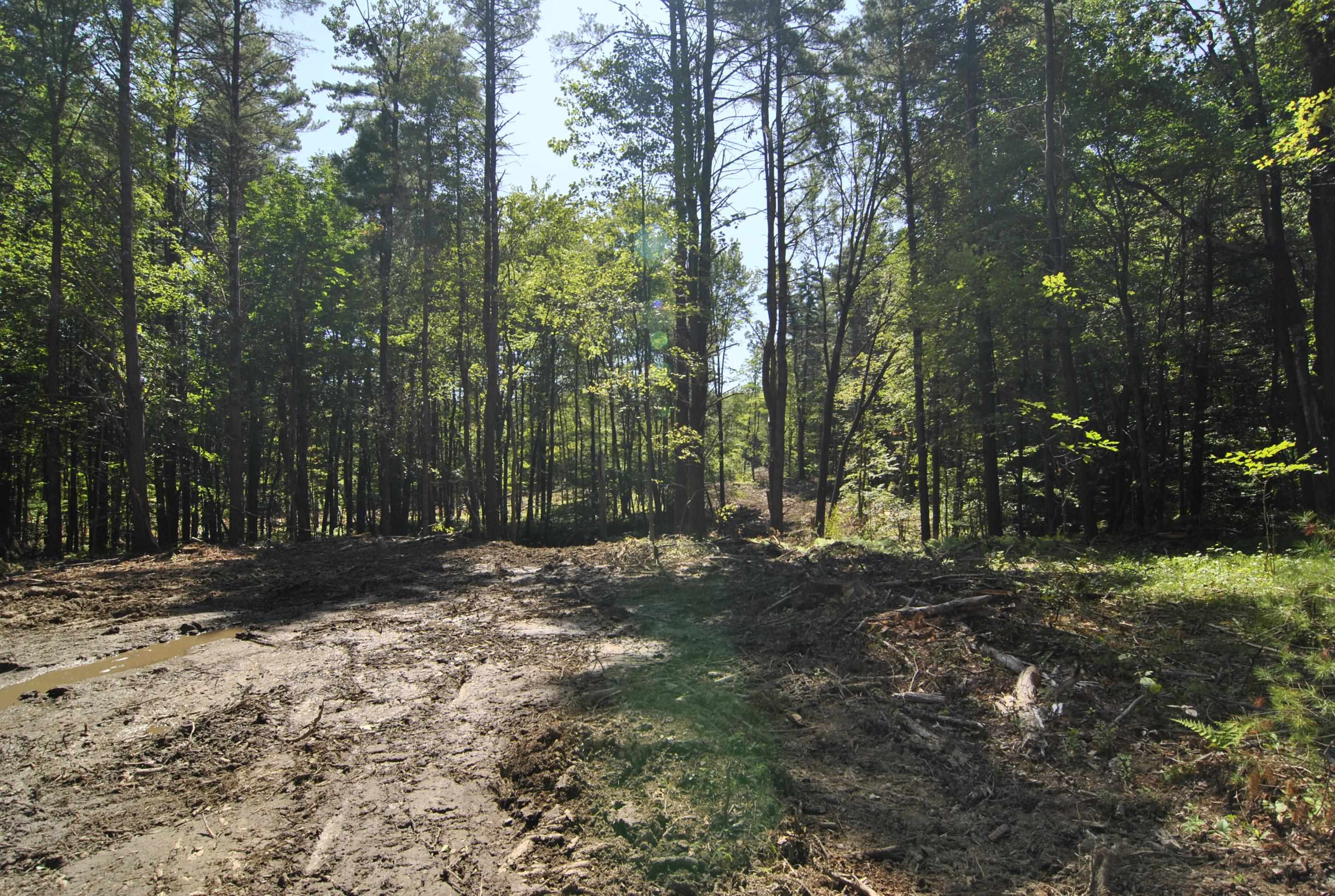 Lot 40 Cross Road Hooksett, NH 03106 - Photo 5 of 17 Gallery Image 5