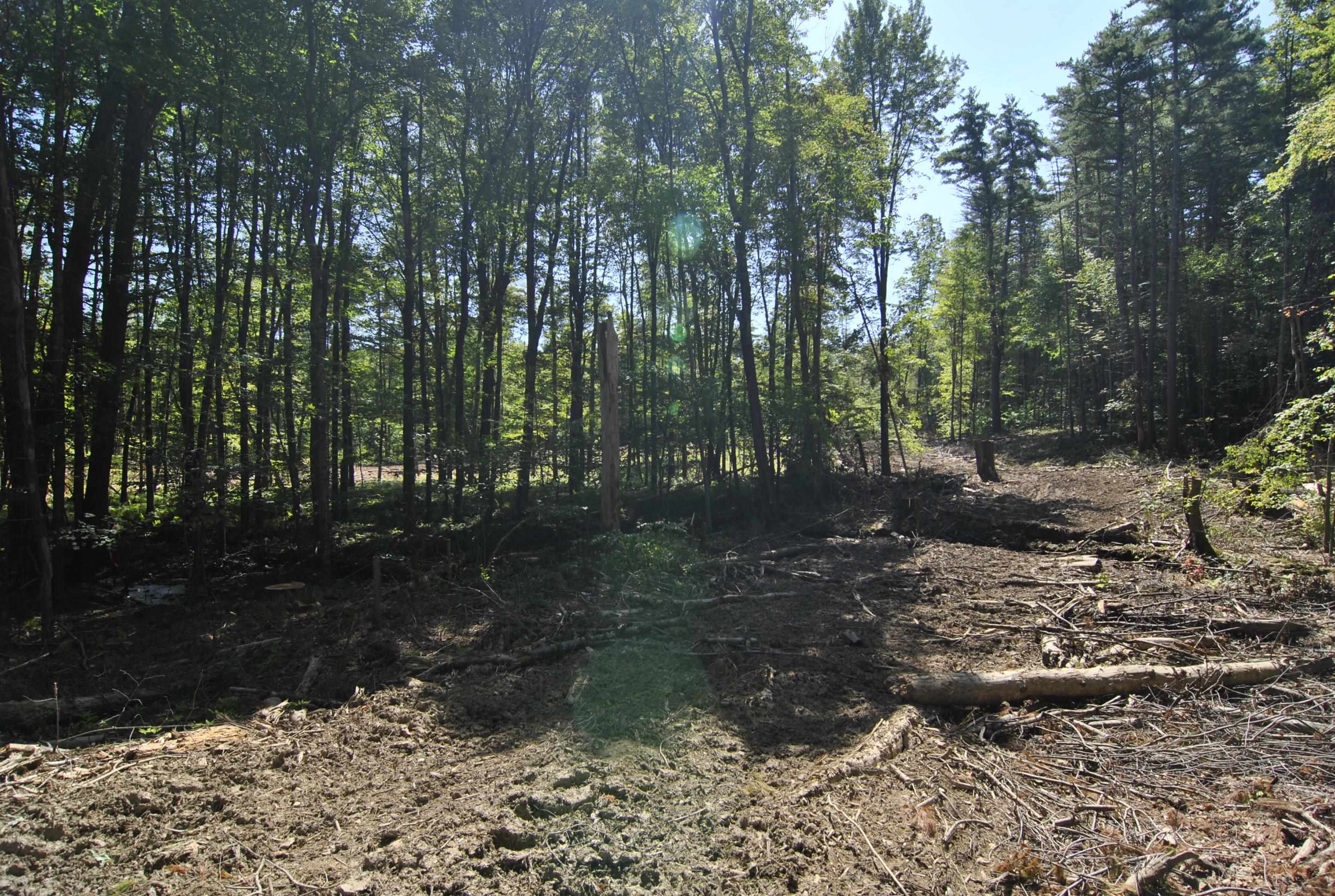 Lot 40 Cross Road Hooksett, NH 03106 - Photo 9 of 17 Gallery Image 9
