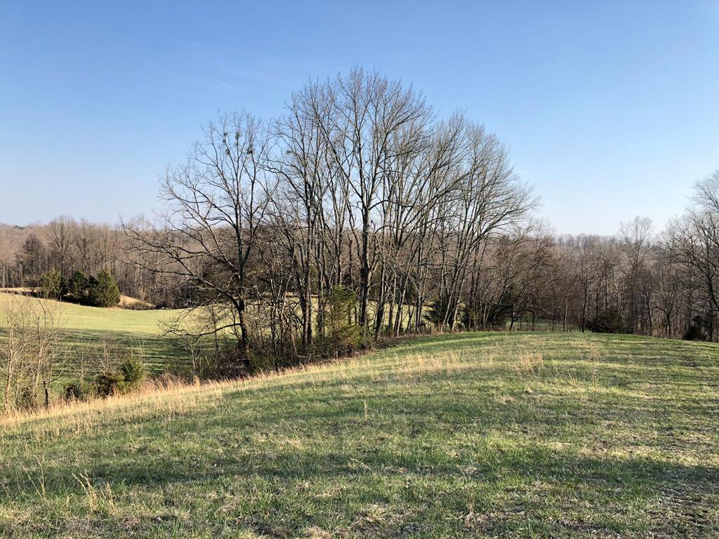 950 Johnney Harvey Road Breeding, KY 42715 - Photo 7 of 26 Gallery Image 7