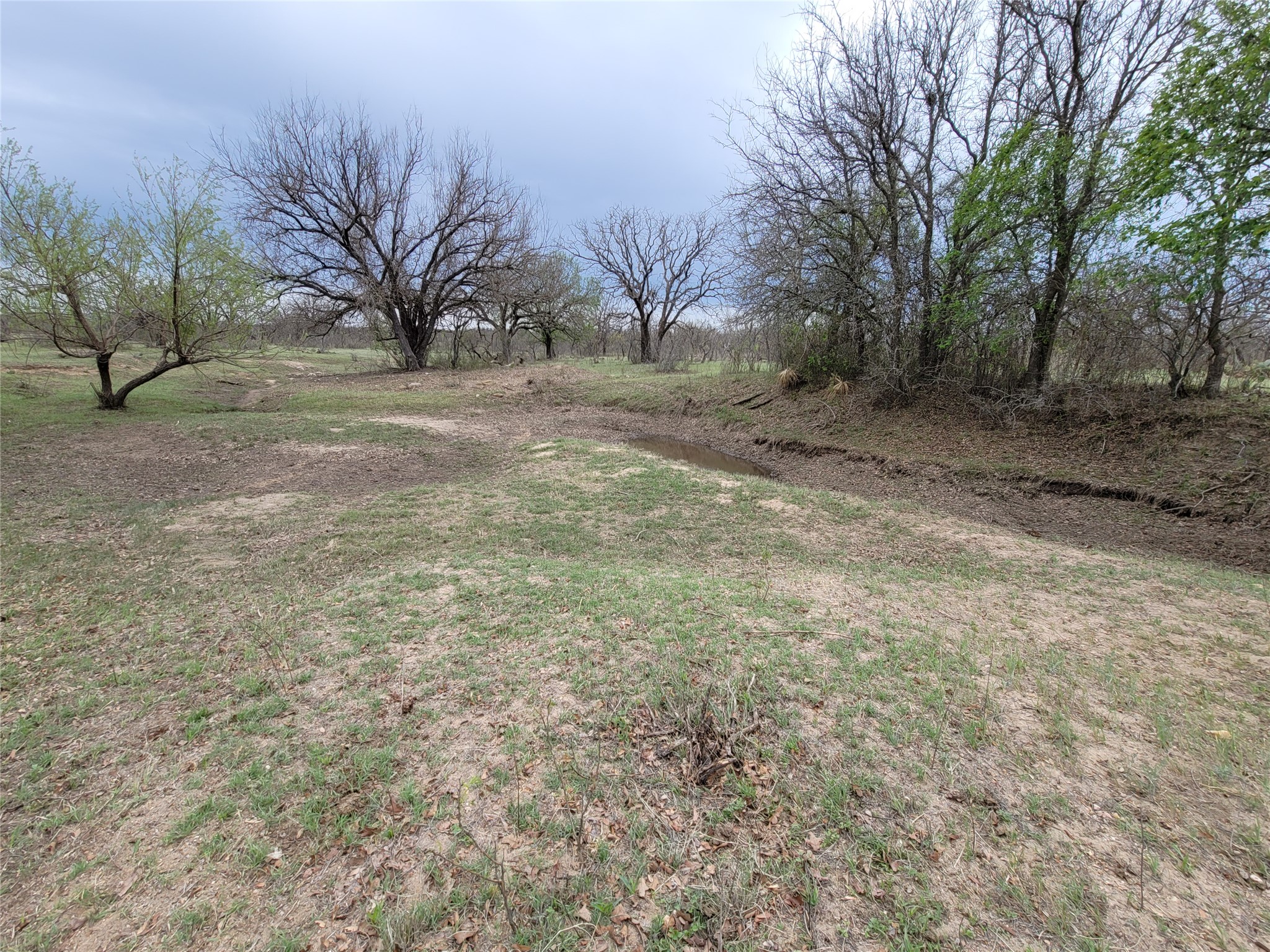 293 Threadgill Lane Valley Spring, TX 76885 - Photo 8 of 14 Mature trees frame a quiet creek bed running through this expansive natural landscape. - 293 Threadgill Ln, Valley Spring, Texas 76885