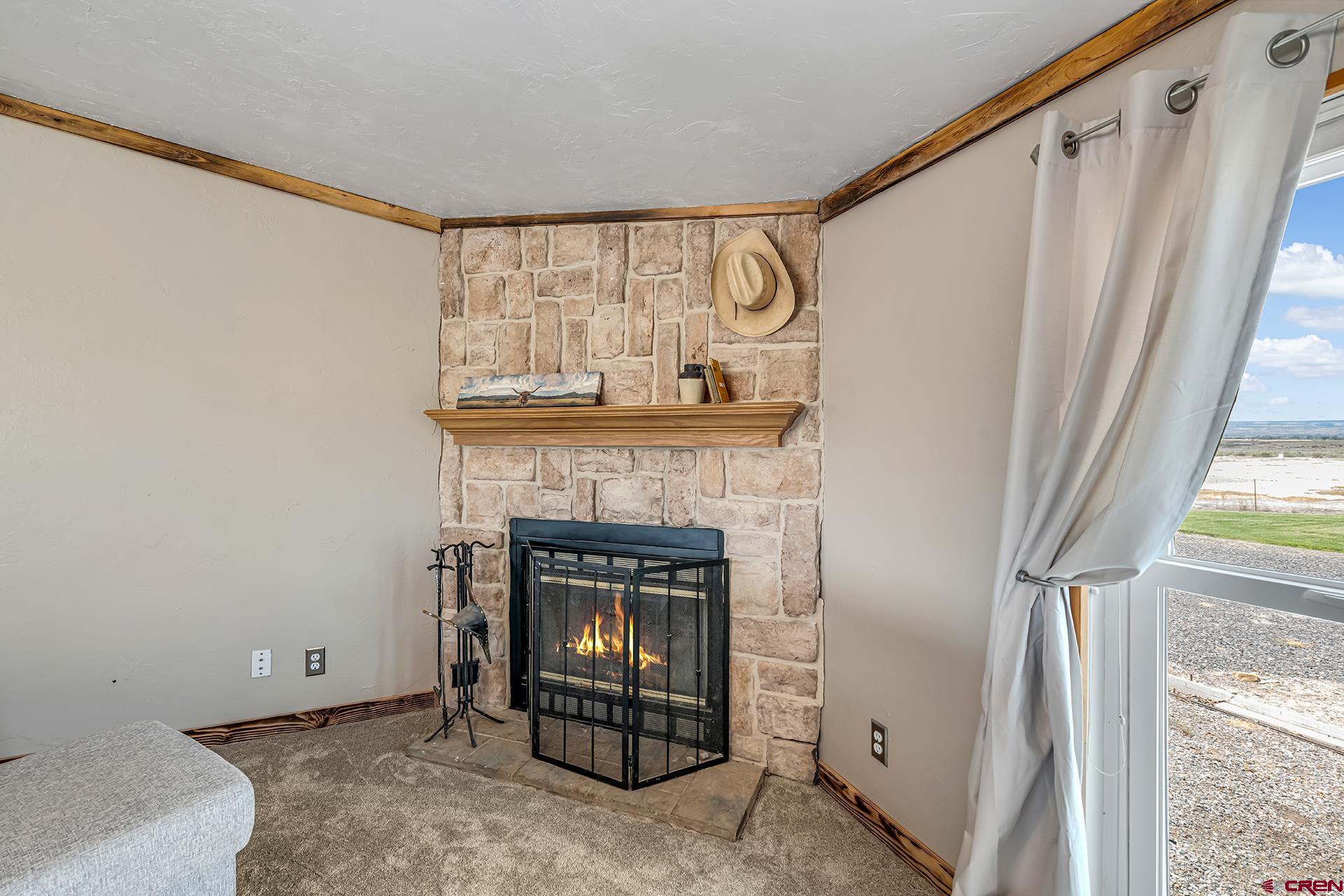 2787 2100th Road Delta, CO 81416 - Photo 19 of 40 a living room with a fireplace