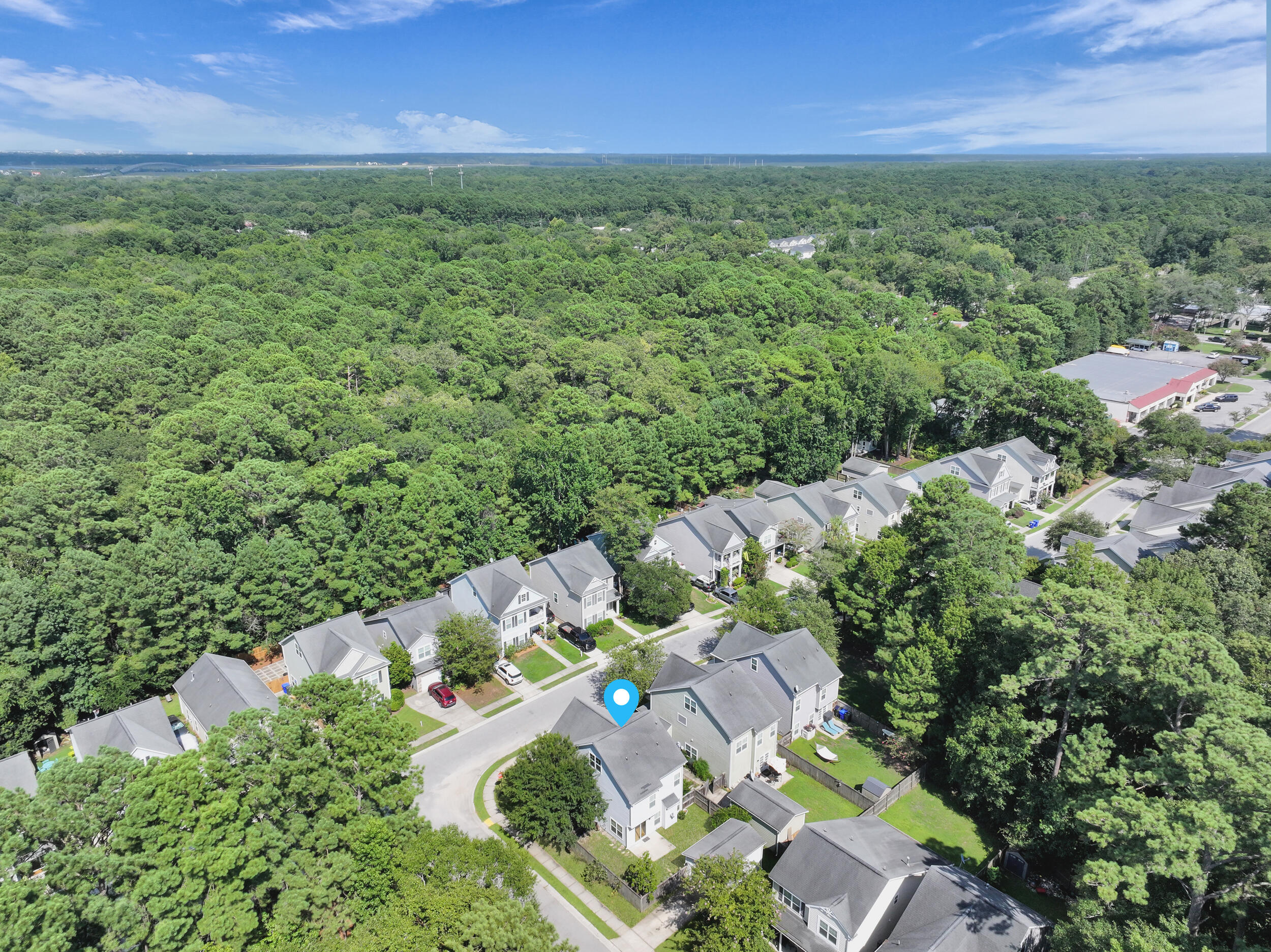 1749 Towne Street Johns Island, SC 29455 - Photo 49 of 52 Aerial