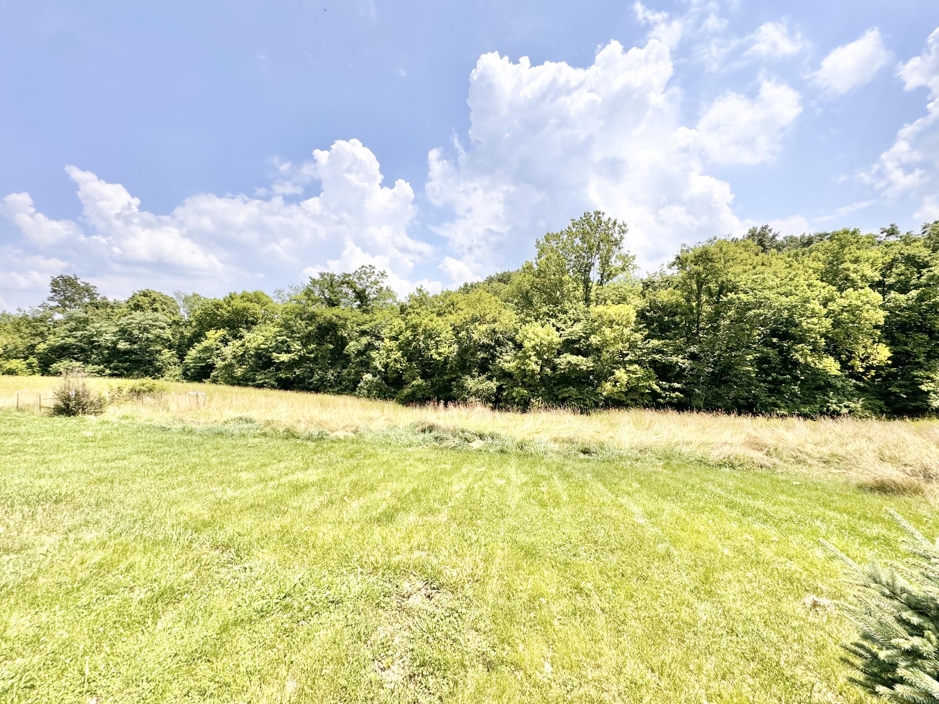 13165 Burns Road California, KY 41007 - Photo 6 of 43 Gallery Image 6