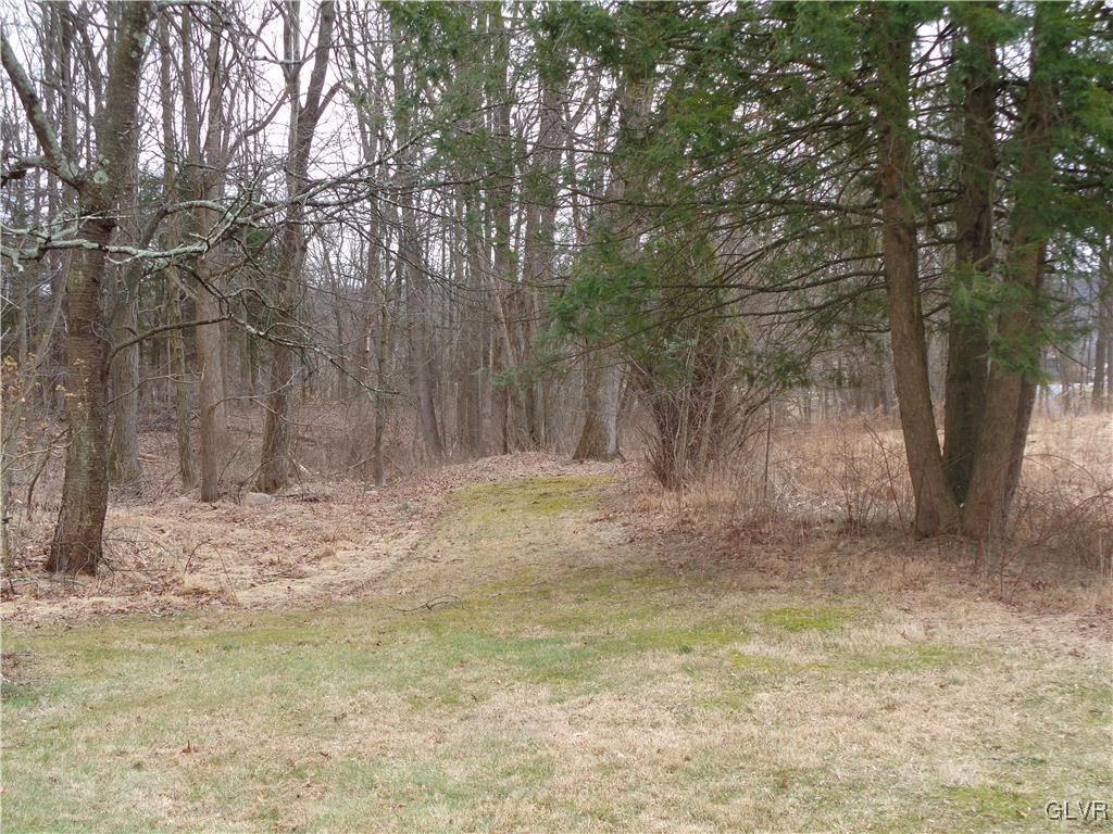 8367 Rextown Road Slatington, PA 18080 - Photo 15 of 21 a view of a yard with large trees