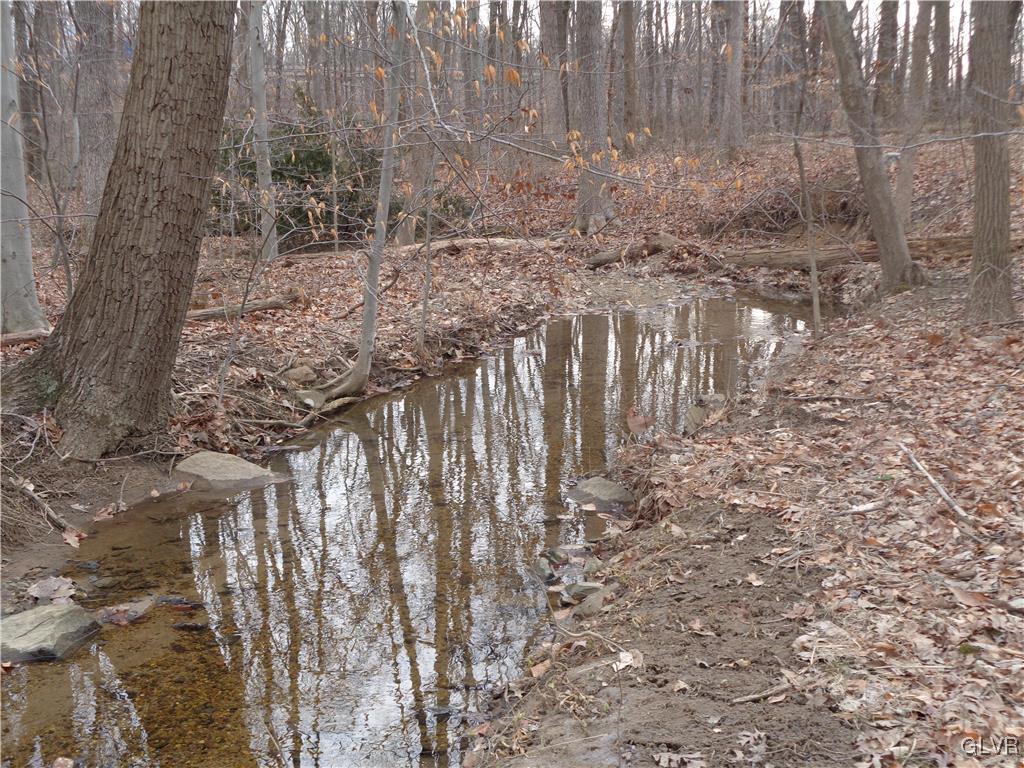 8367 Rextown Road Slatington, PA 18080 - Photo 17 of 21 a view of lots of trees with some trees