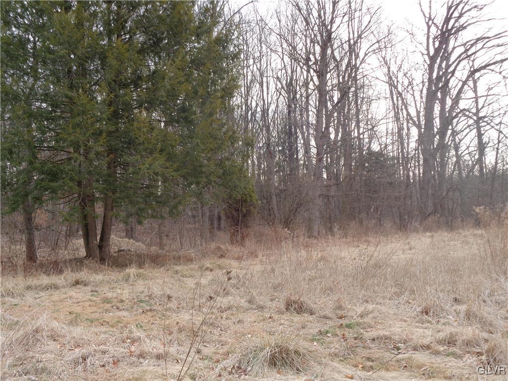 8367 Rextown Road Slatington, PA 18080 - Photo 20 of 21 a view of a dry yard with trees