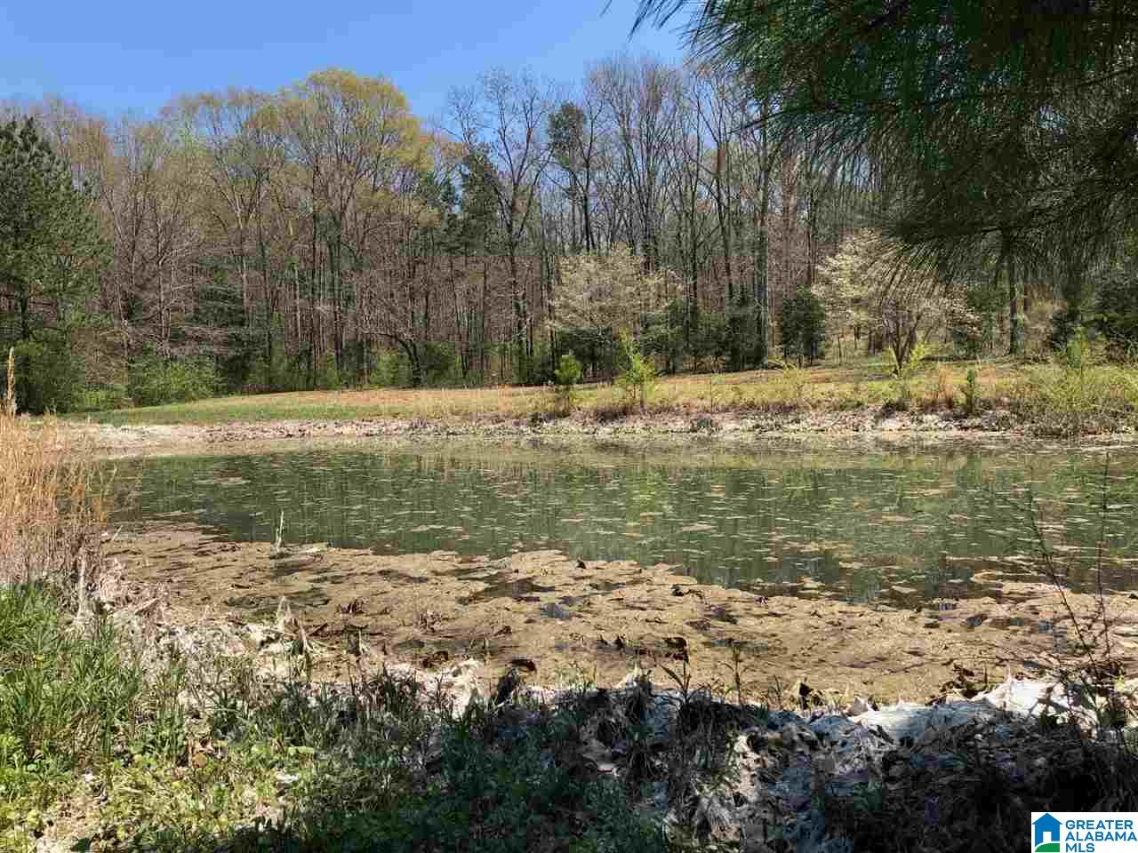 1443 Mahaffey Road, Unit 1 Oxford, AL 36203 - Photo 10 of 21 Gallery Image 10
