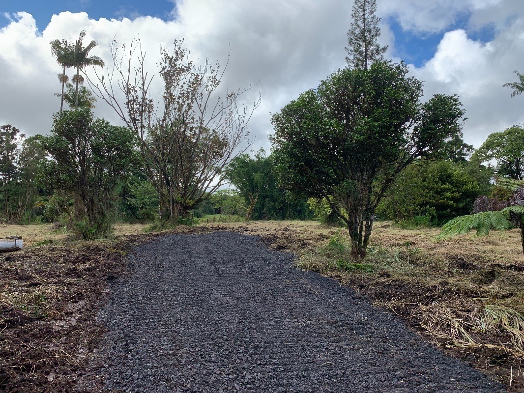 18-1755 Volcano Road Mountain View, HI 96771 - Photo 1 of 13 a view of a yard with a tree