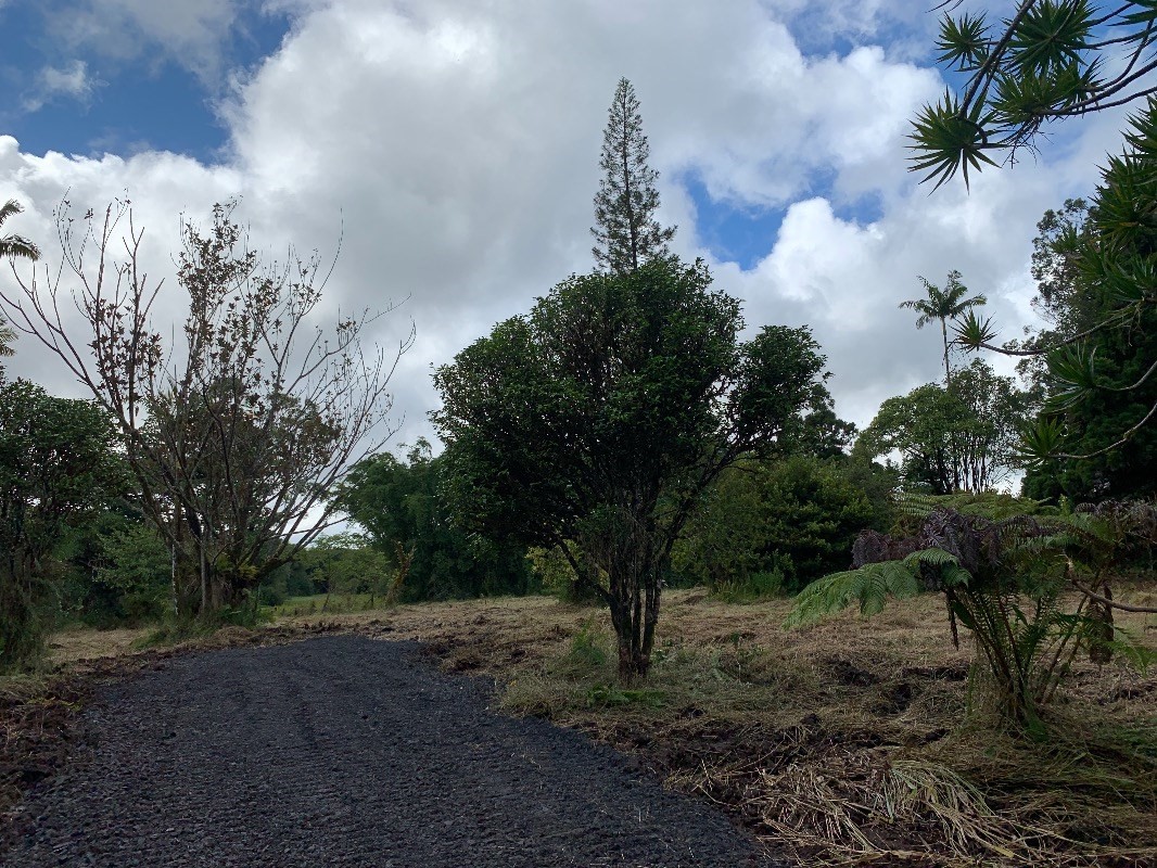 18-1755 Volcano Road Mountain View, HI 96771 - Photo 4 of 13 a big yard with lots of green space