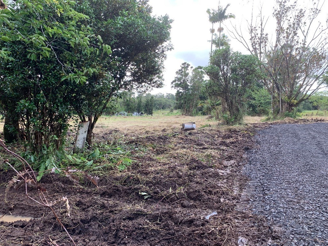 18-1755 Volcano Road Mountain View, HI 96771 - Photo 5 of 13 a view of dirt yard