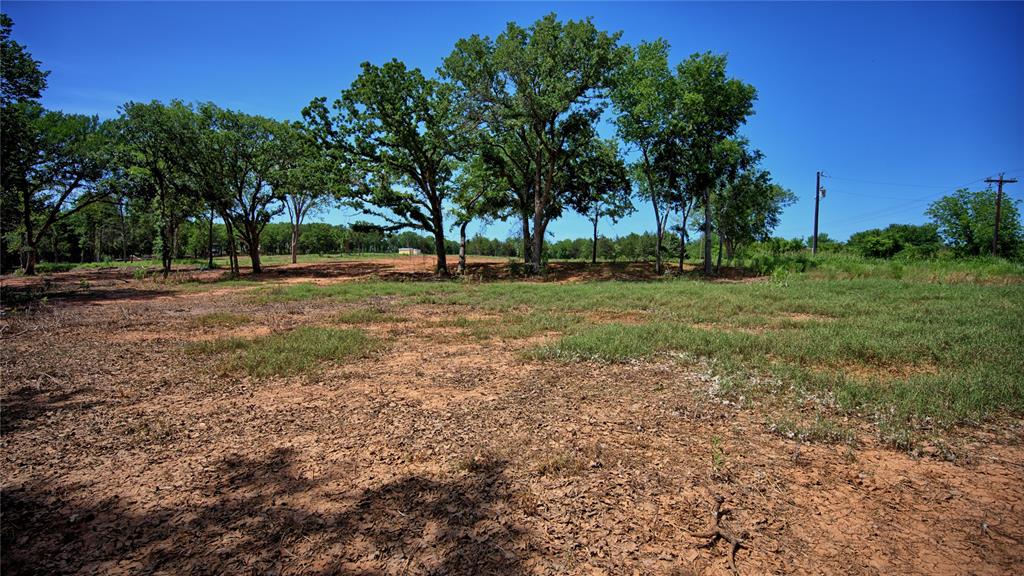 Tbd Selma Road Bowie, TX 76230 - Photo 18 of 18 a view of a tree in a yard