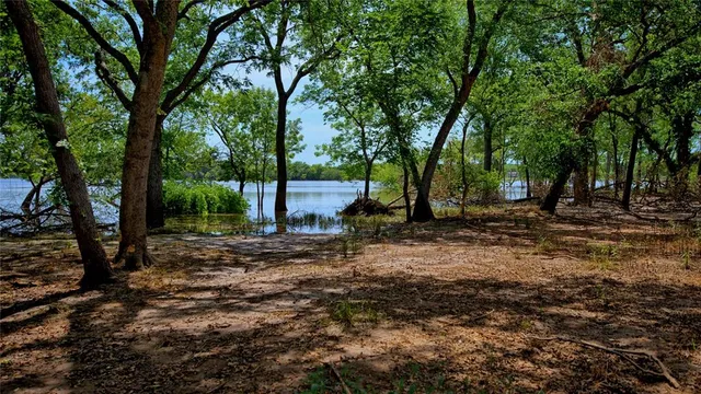 a view of a tree in the middle of a yard