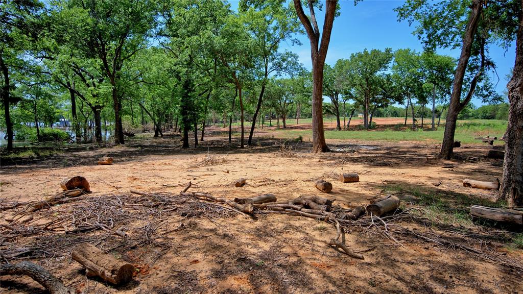 Tbd Selma Road Bowie, TX 76230 - Photo 7 of 18 a view of road with trees