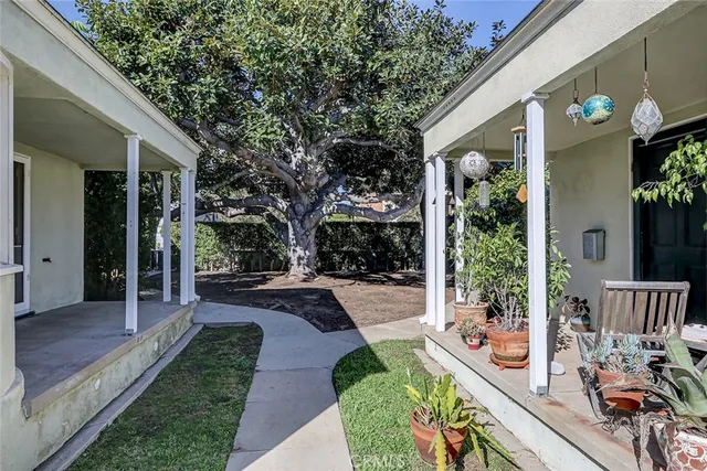 a view of a backyard with potted plants and a tree