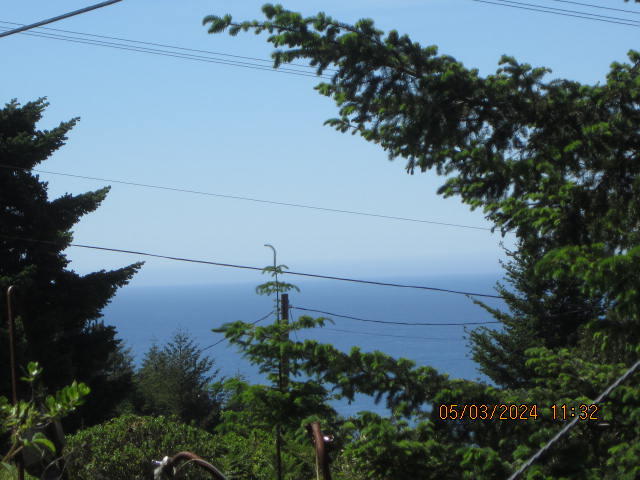 232 Nob Hill Road Shelter Cove, CA 95589 - Photo 11 of 20
