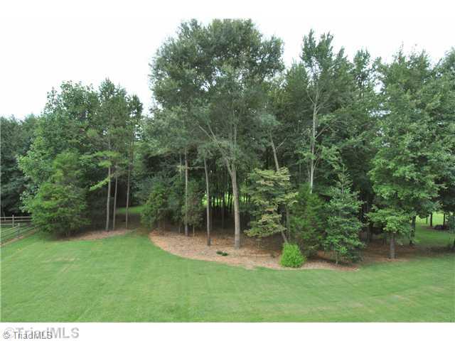6966 Bridgewood Road Clemmons, NC 27012 - Photo 16 of 16 Yard/Garden.