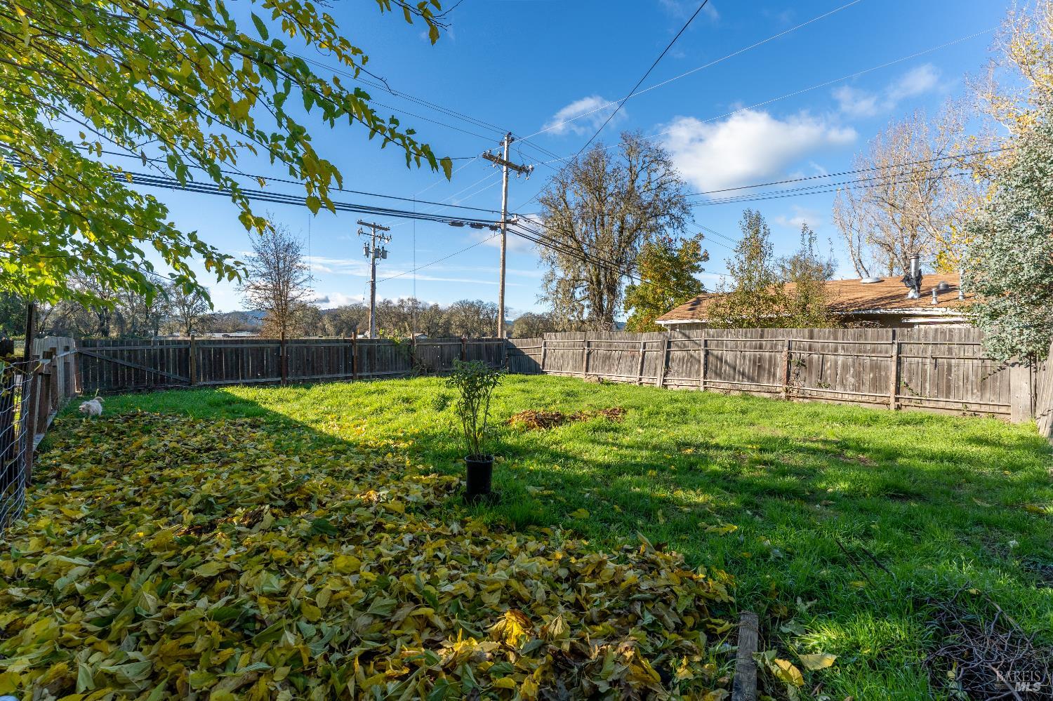 2580 Center Valley Road Willits, CA 95490 - Photo 27 of 43 a view of a yard with a large tree