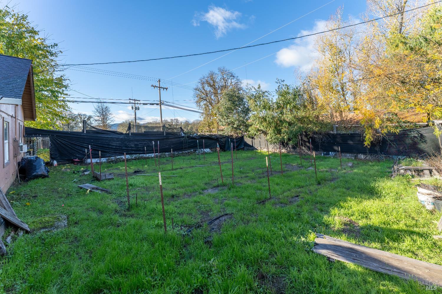 2580 Center Valley Road Willits, CA 95490 - Photo 28 of 43 a view of a backyard with plants and large trees