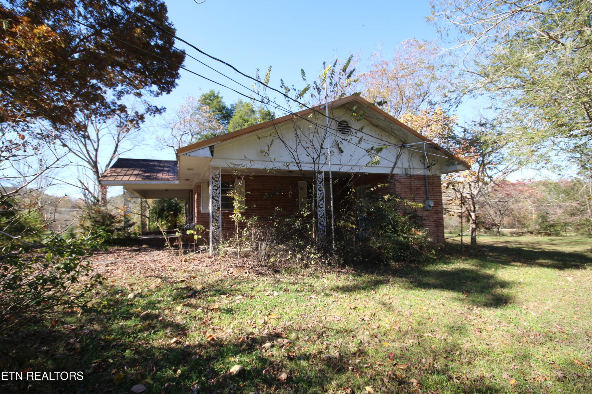111 Smokey Run Road Tellico Plains, TN 37385 - Photo 4 of 28