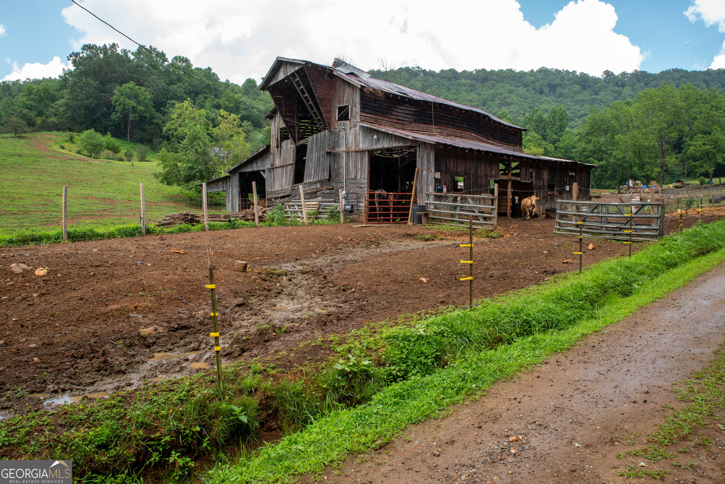 192 Dobson Mountain Road Franklin, NC 28734 - Photo 52 of 72