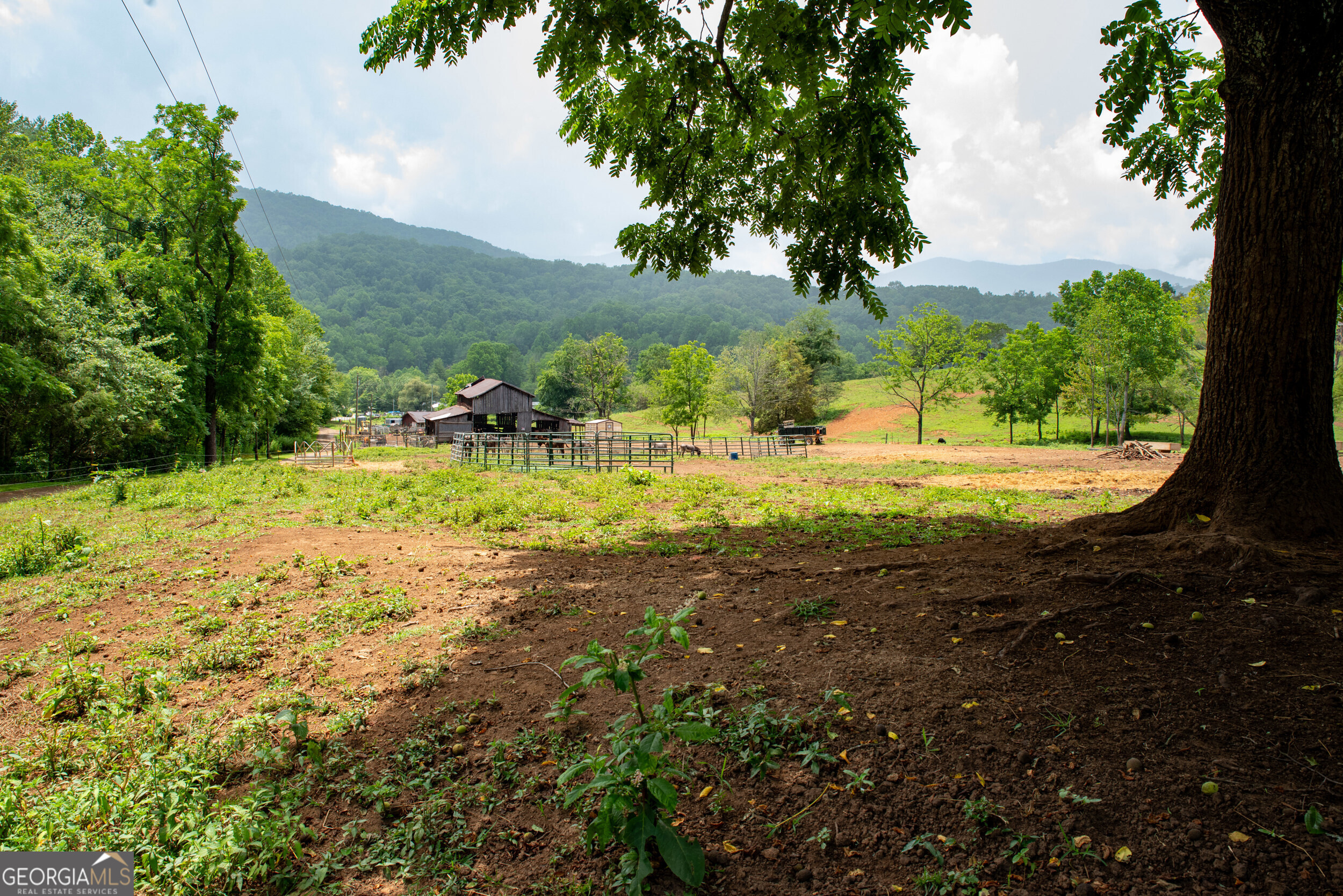 192 Dobson Mountain Road Franklin, NC 28734 - Photo 59 of 72