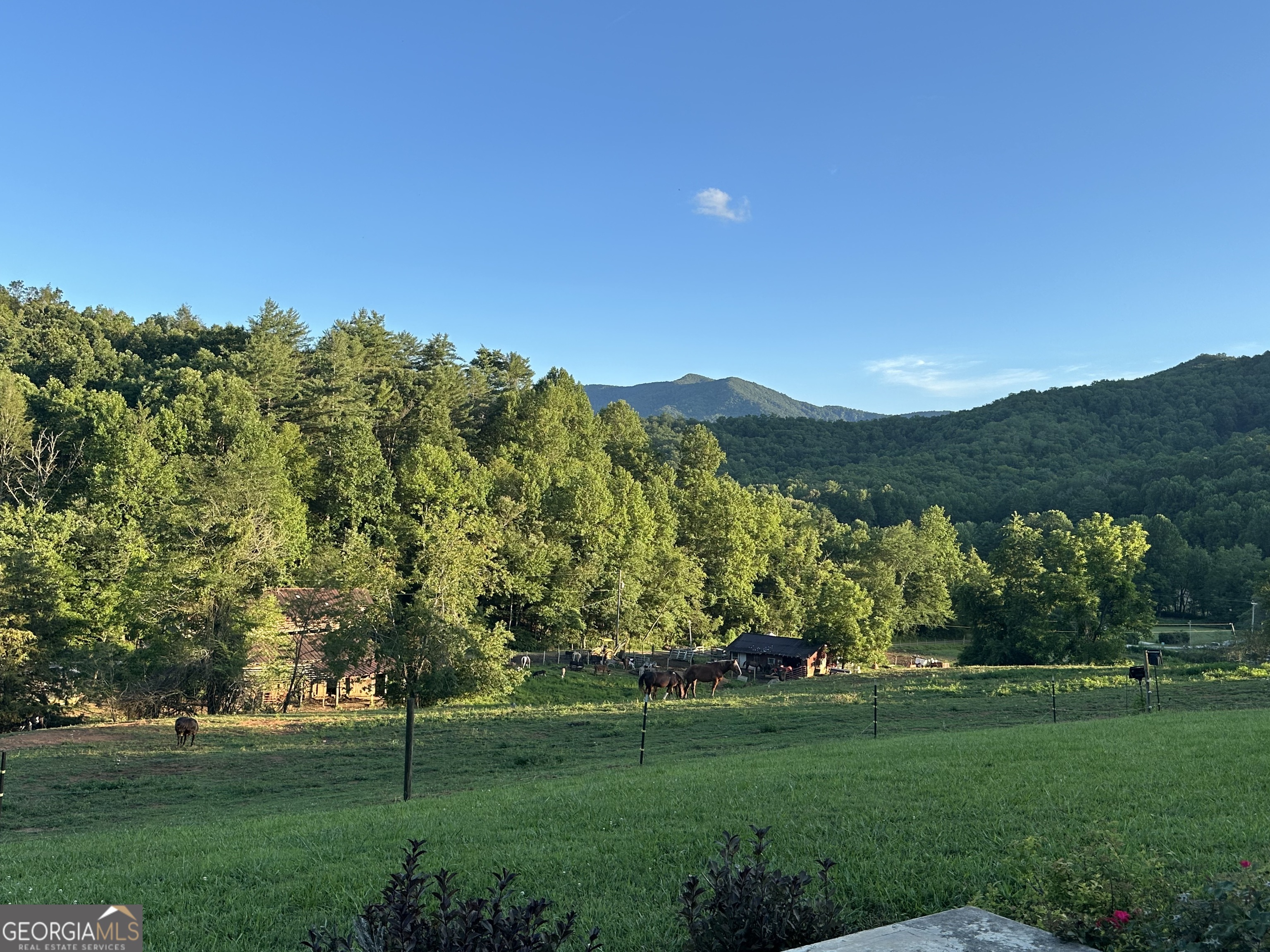 192 Dobson Mountain Road Franklin, NC 28734 - Photo 7 of 72