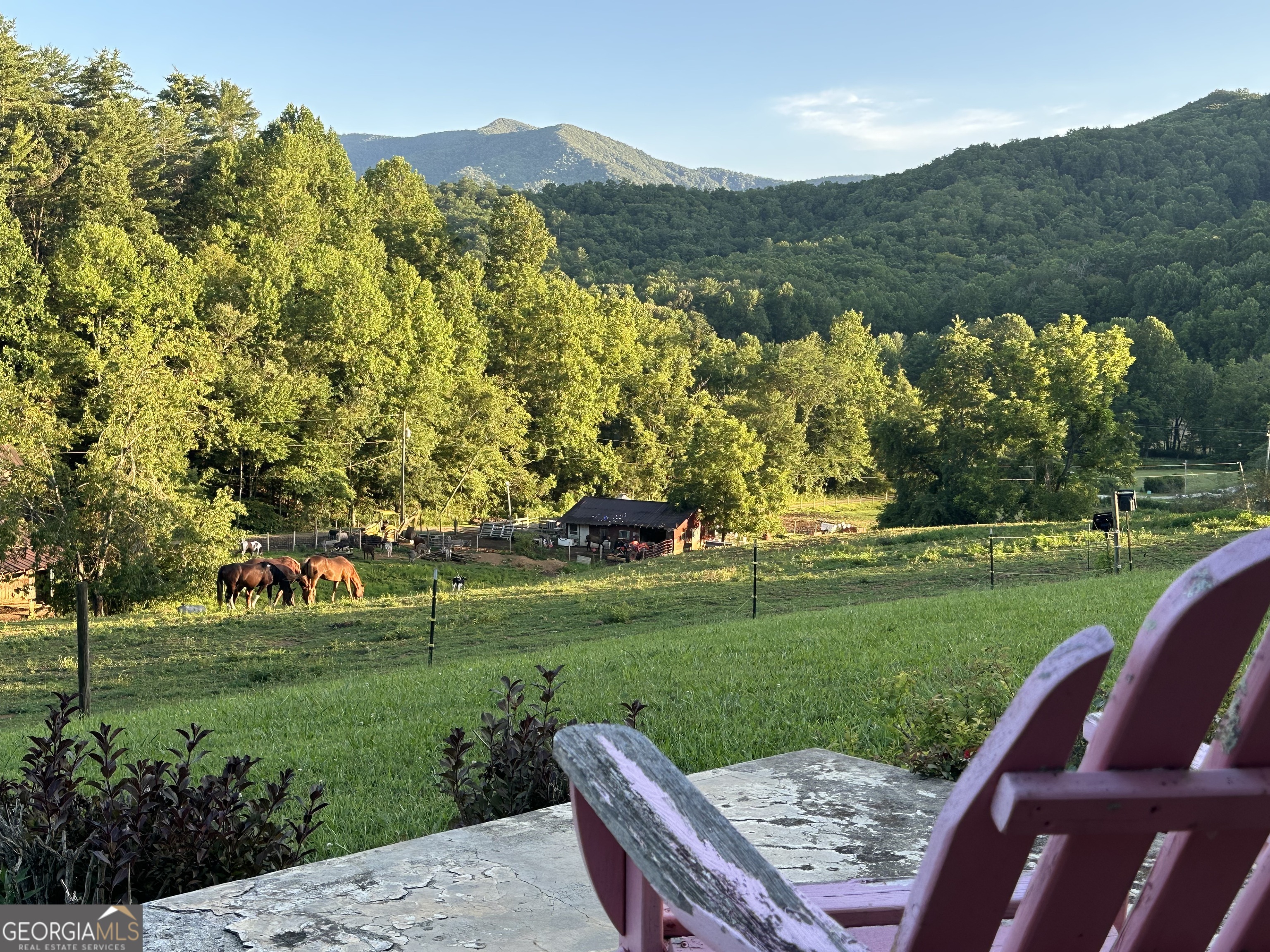 192 Dobson Mountain Road Franklin, NC 28734 - Photo 8 of 72